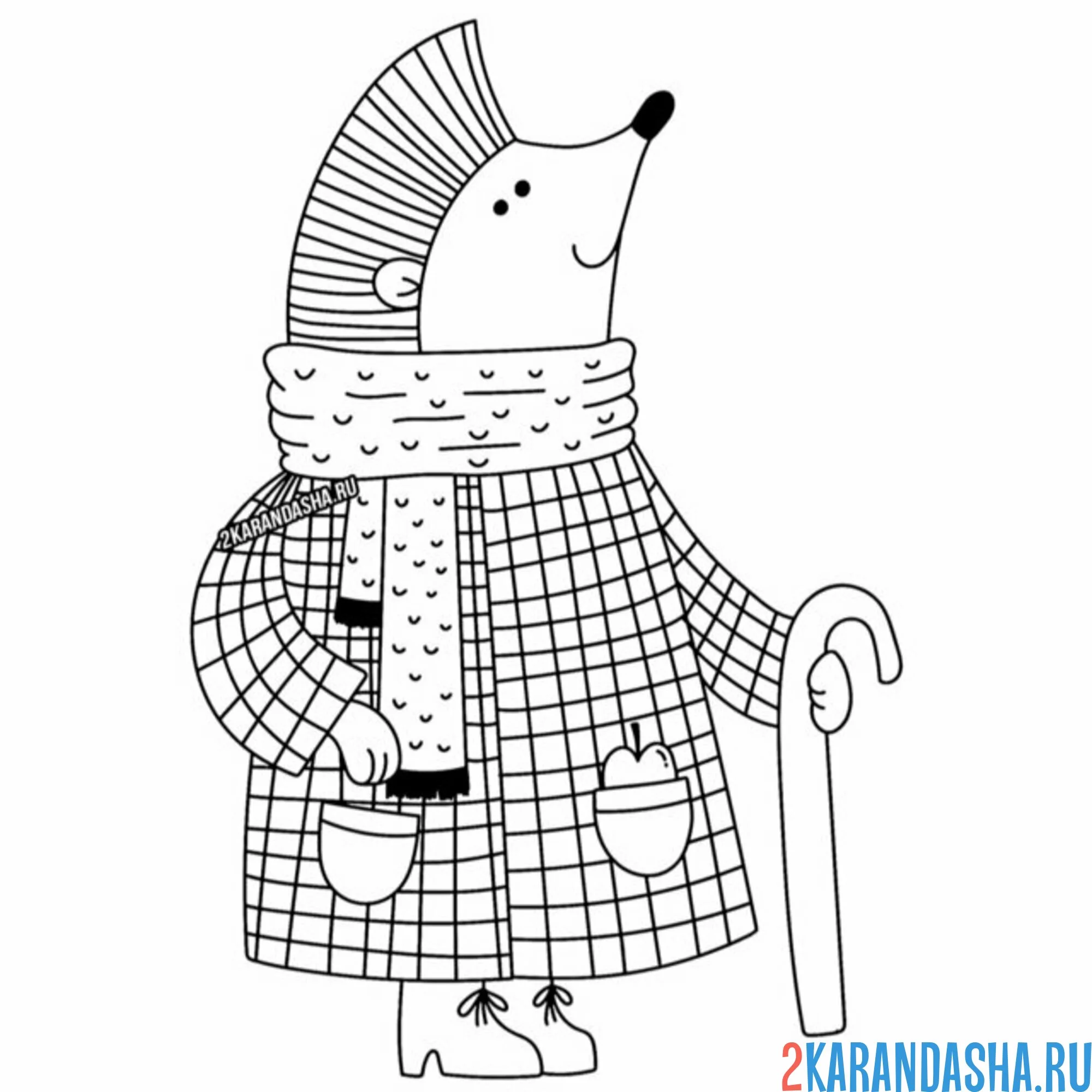 Раскраска еж в пальто