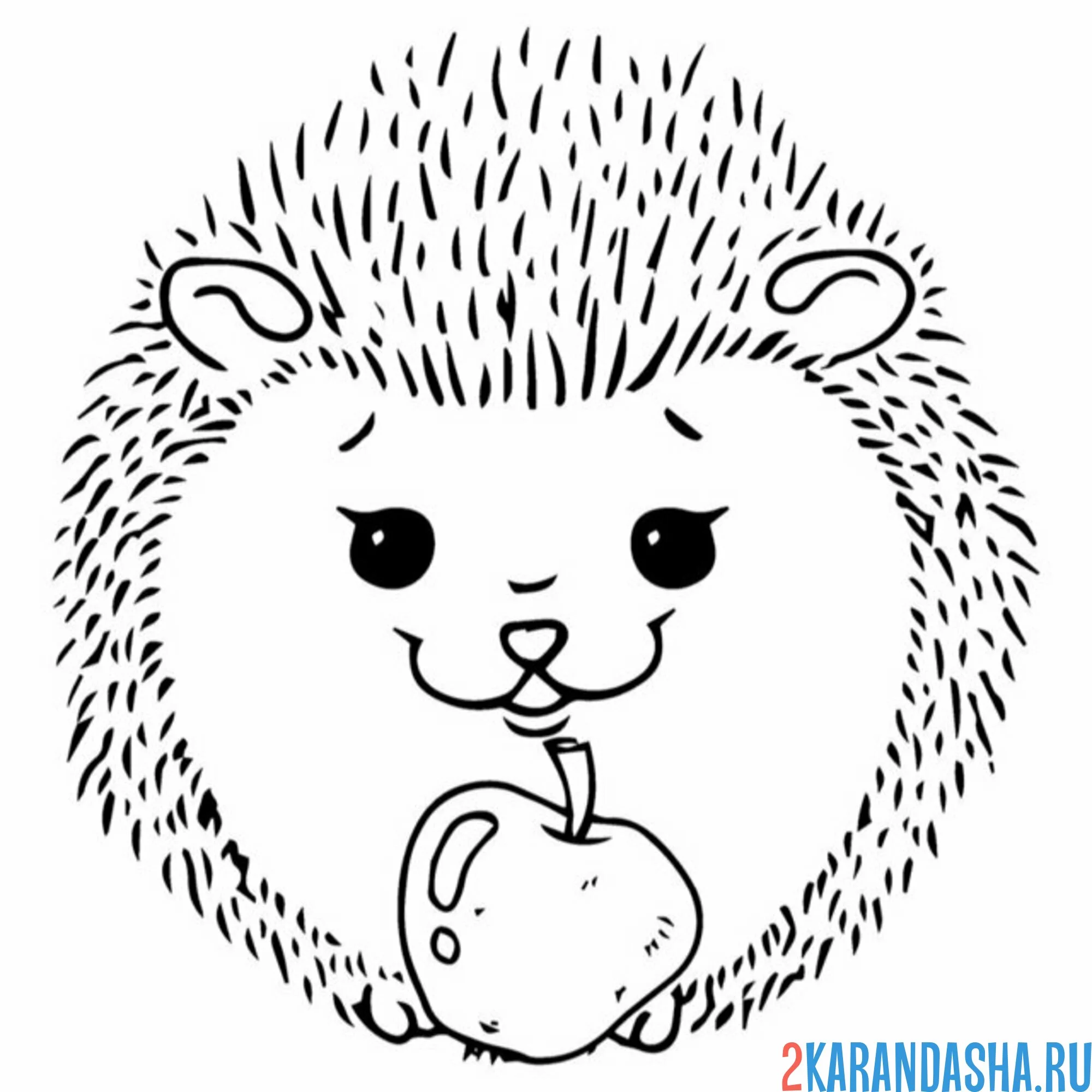 Раскраска ежик улыбка