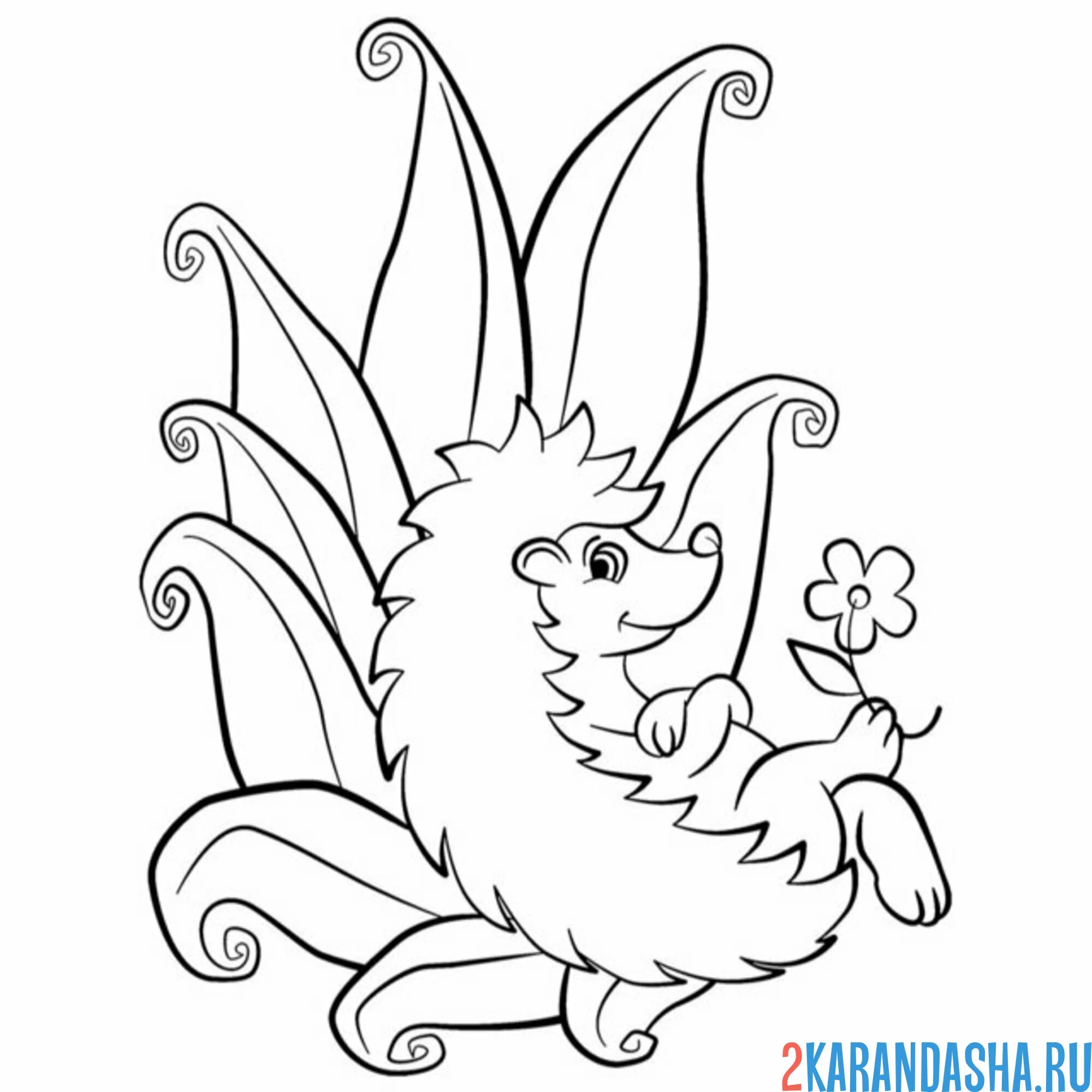 Раскраска ежик лежит в траве