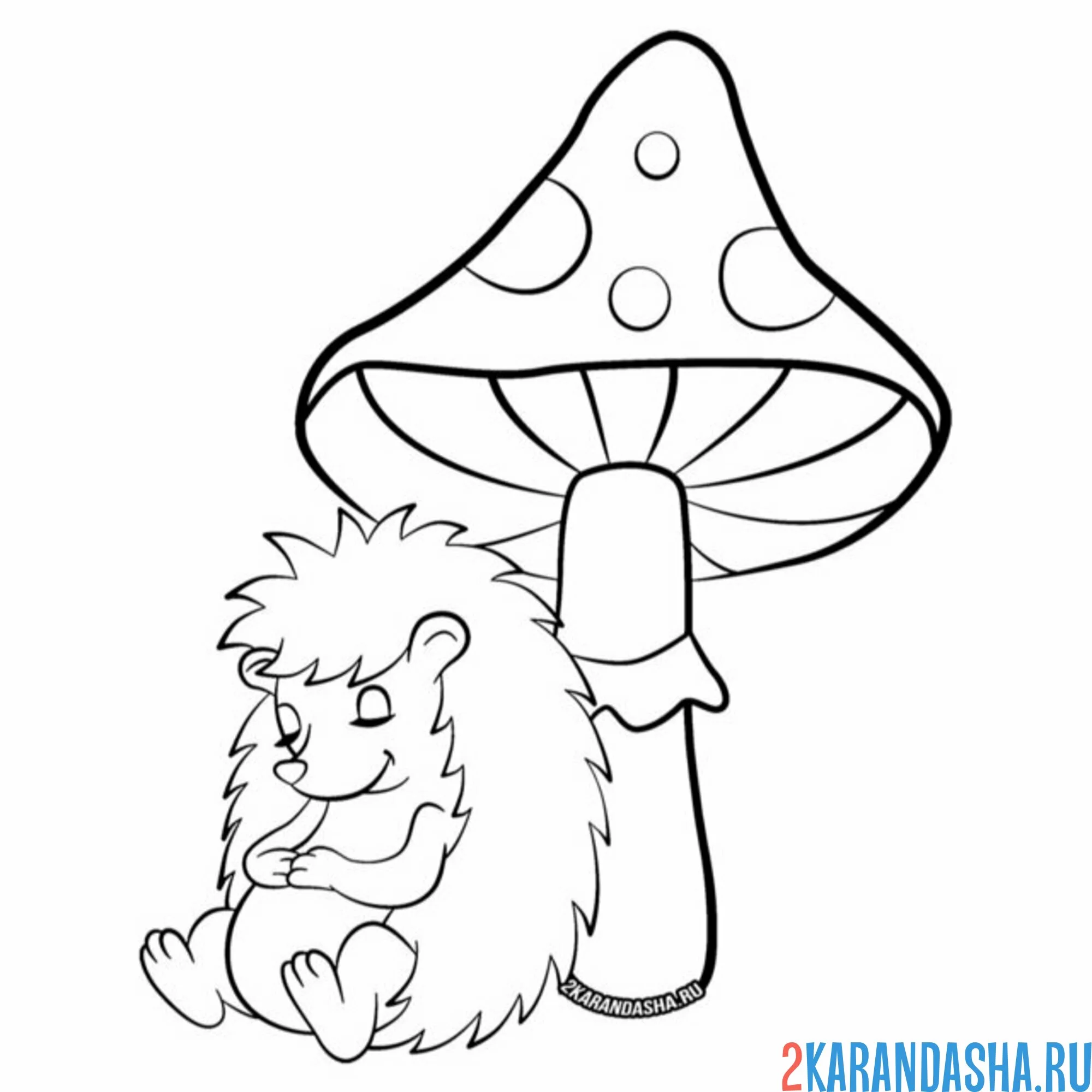 Раскраска ежик уснул под грибом