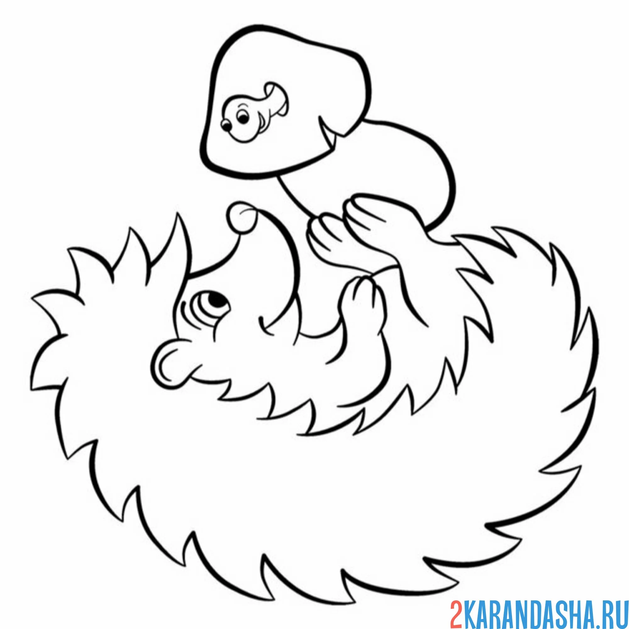 Раскраска ежик играет с грибом