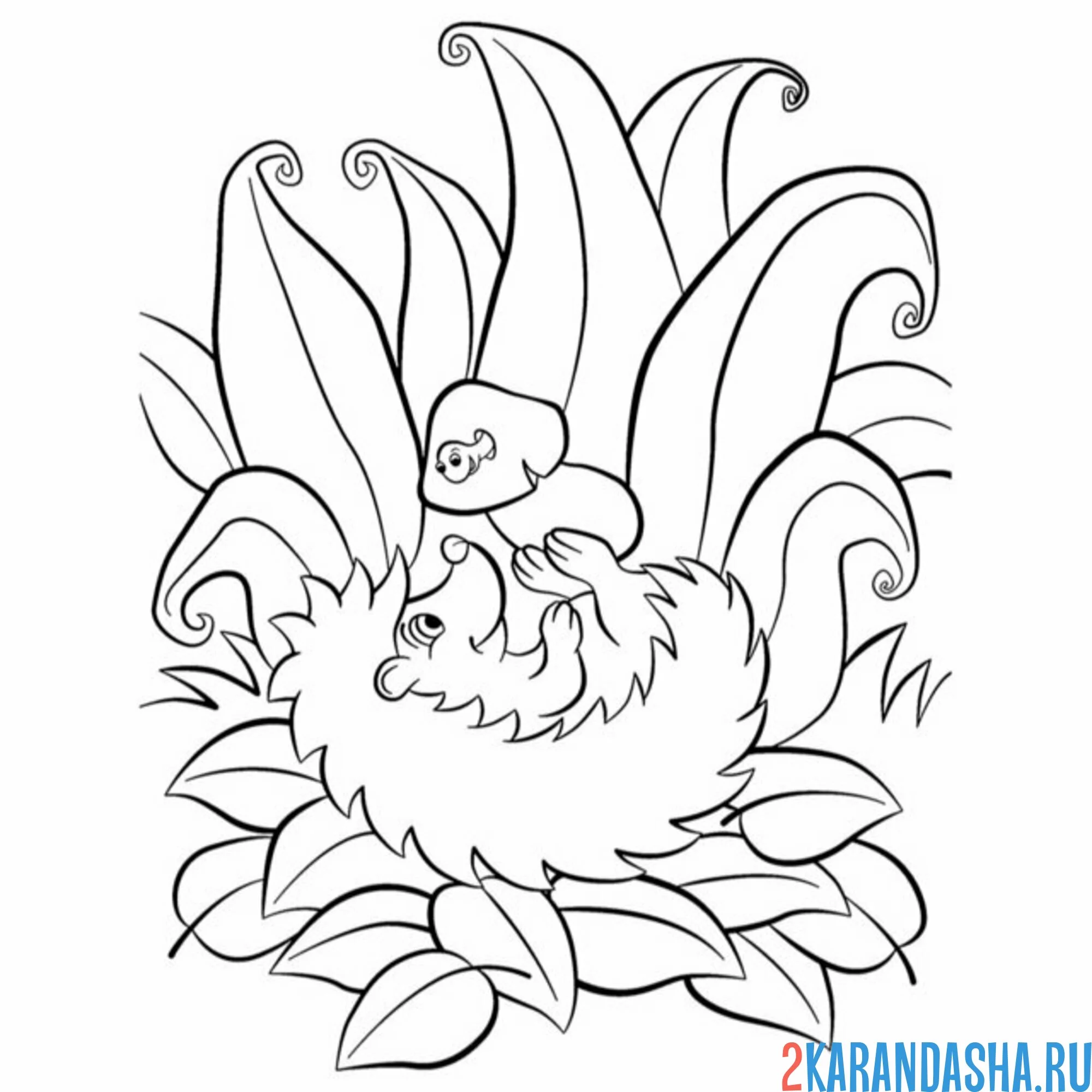 Раскраска ежик в траве и гриб