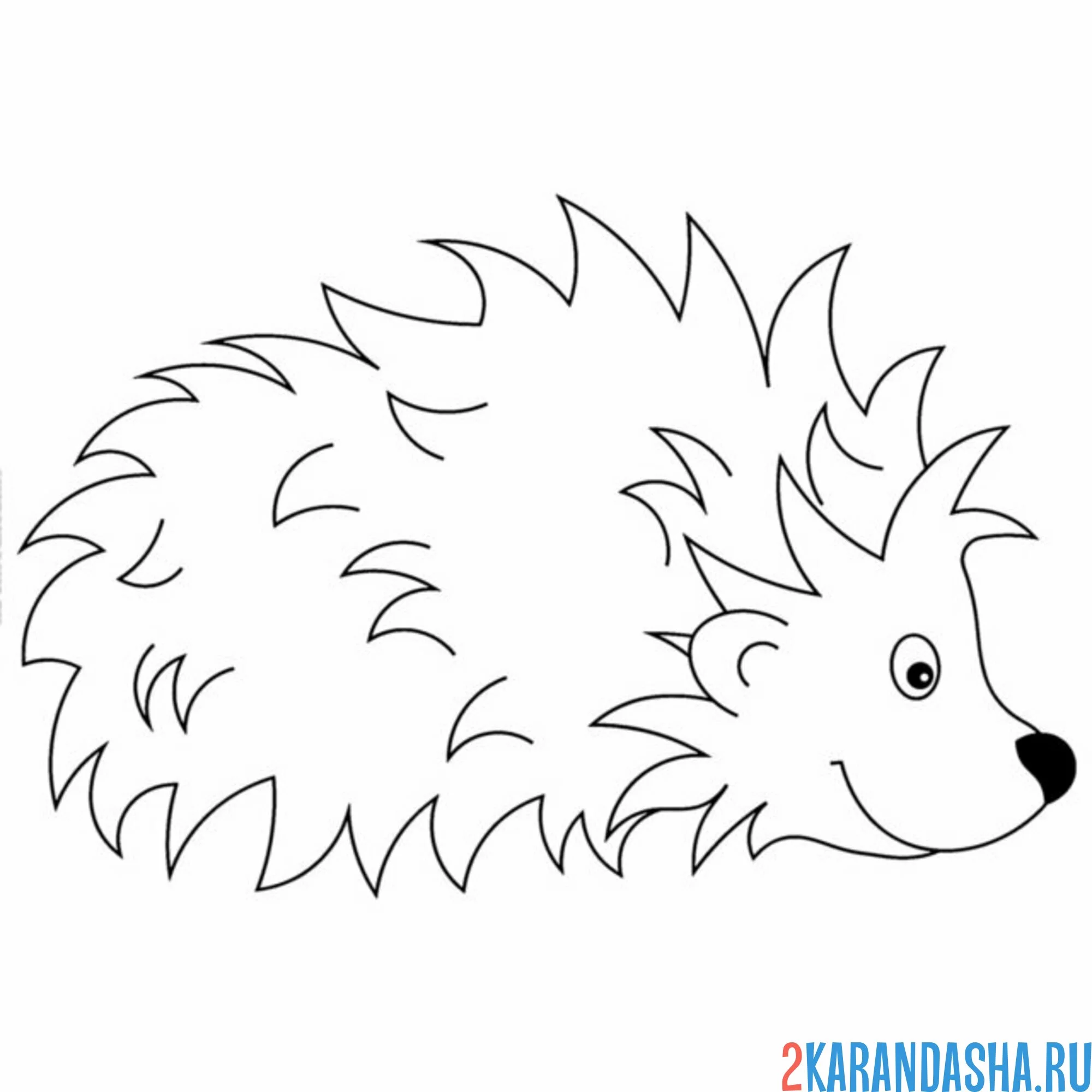 Раскраска ежик спрятал лапки