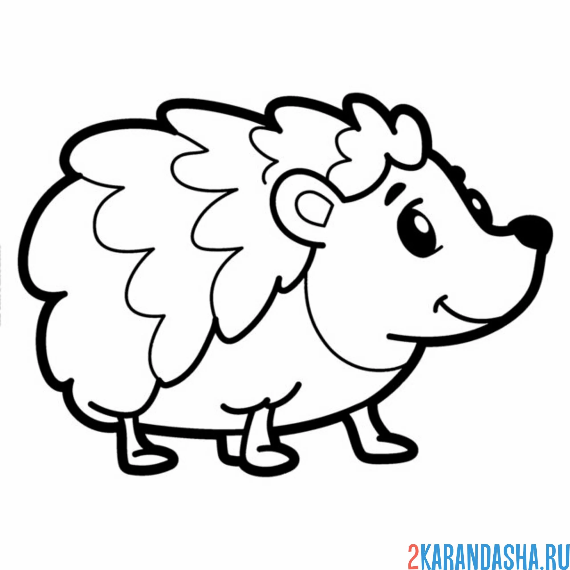 Раскраска пушистый еж