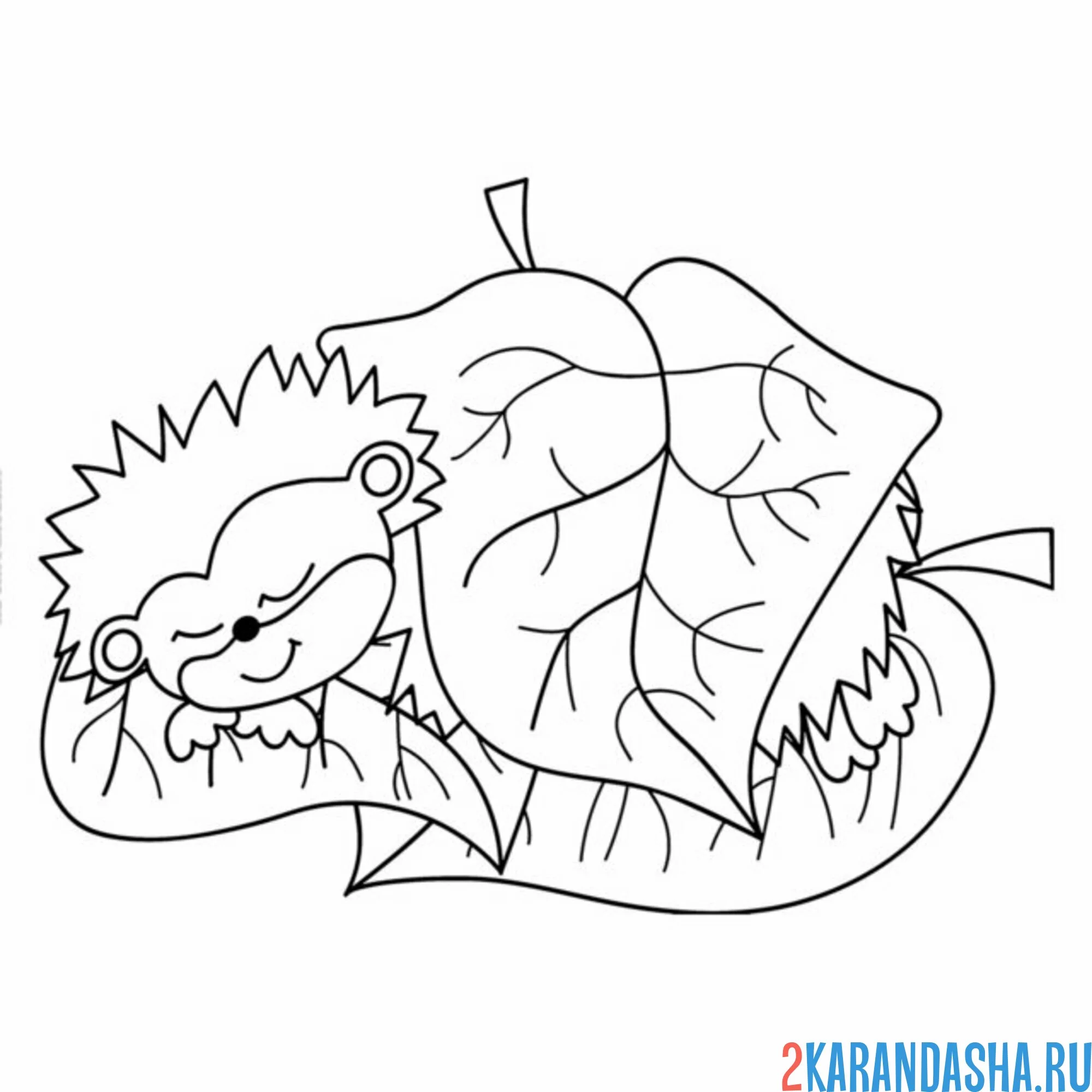 Раскраска ежик спит под листьями