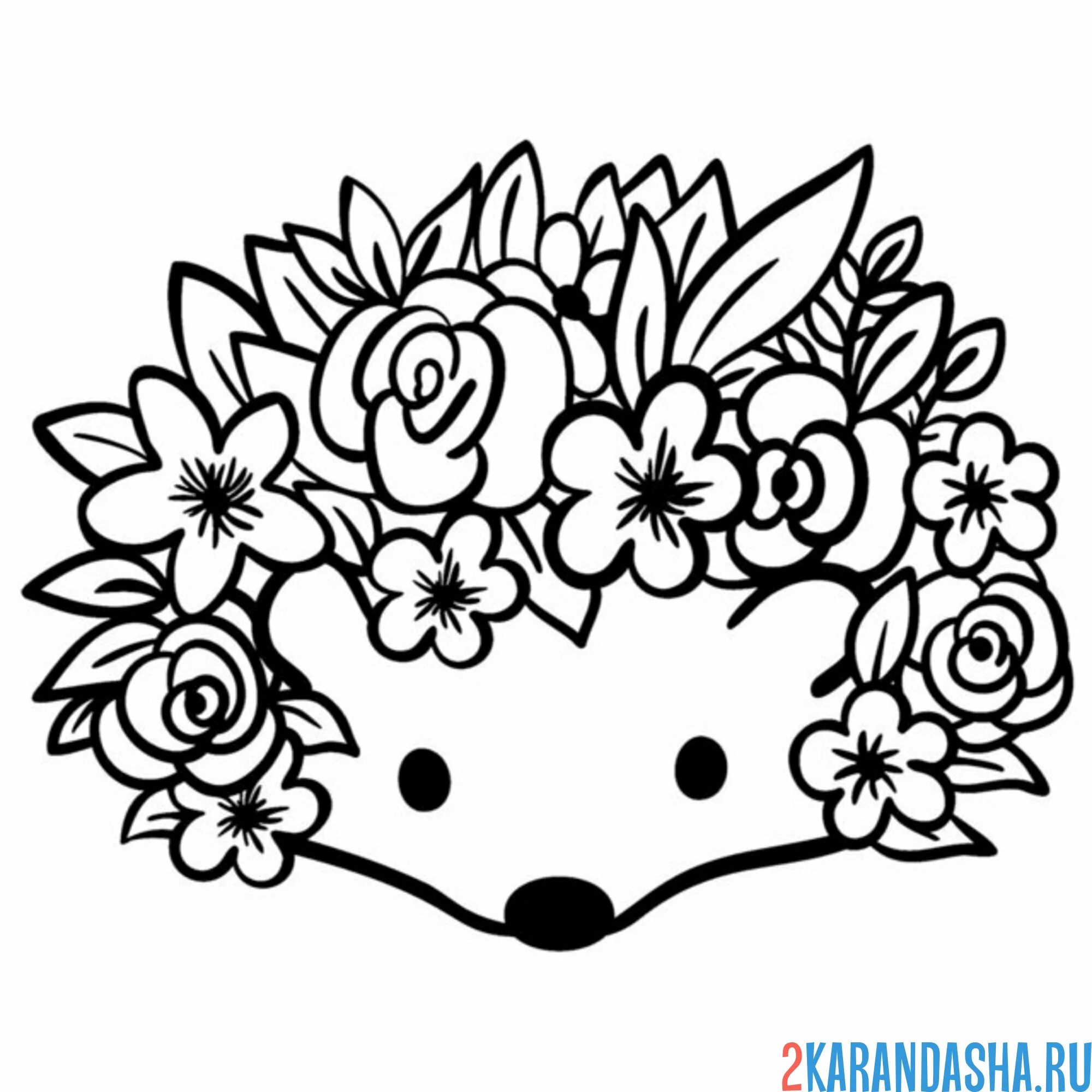 Раскраска ежик цветочный