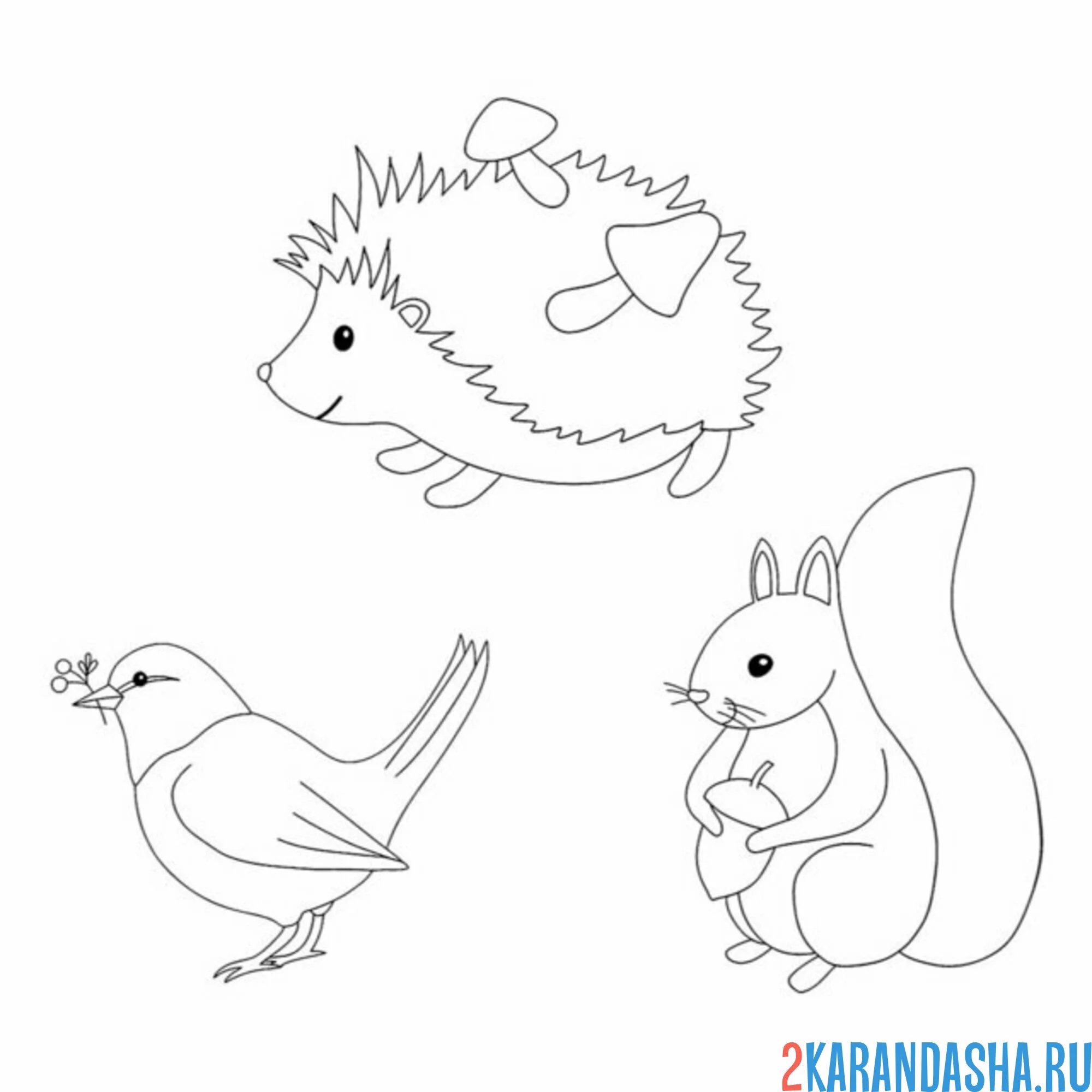 Раскраска еж, белка и птичка