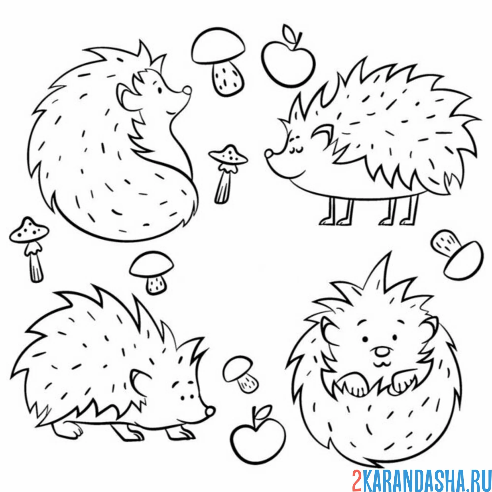 Раскраска милые ежики