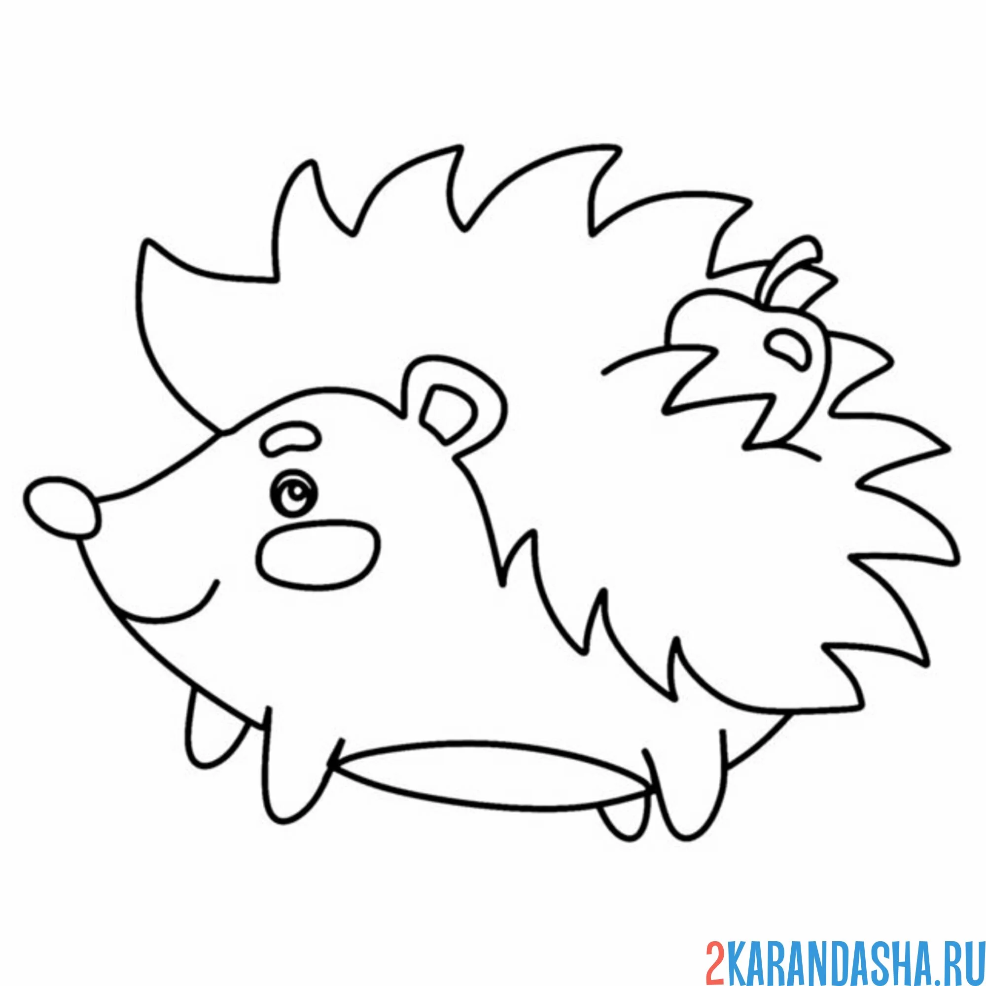 Раскраска ежик с яблочком на спинке