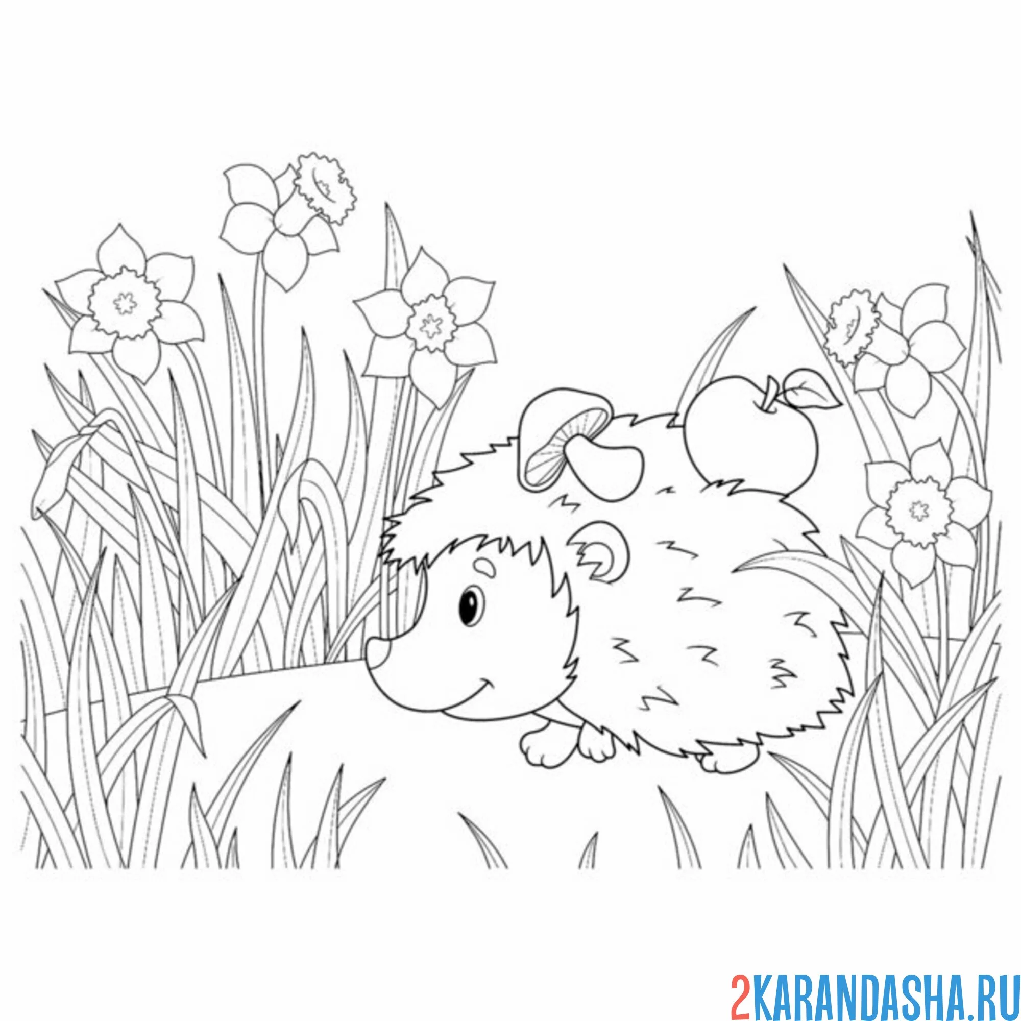 Раскраска ежик в лесу с едой