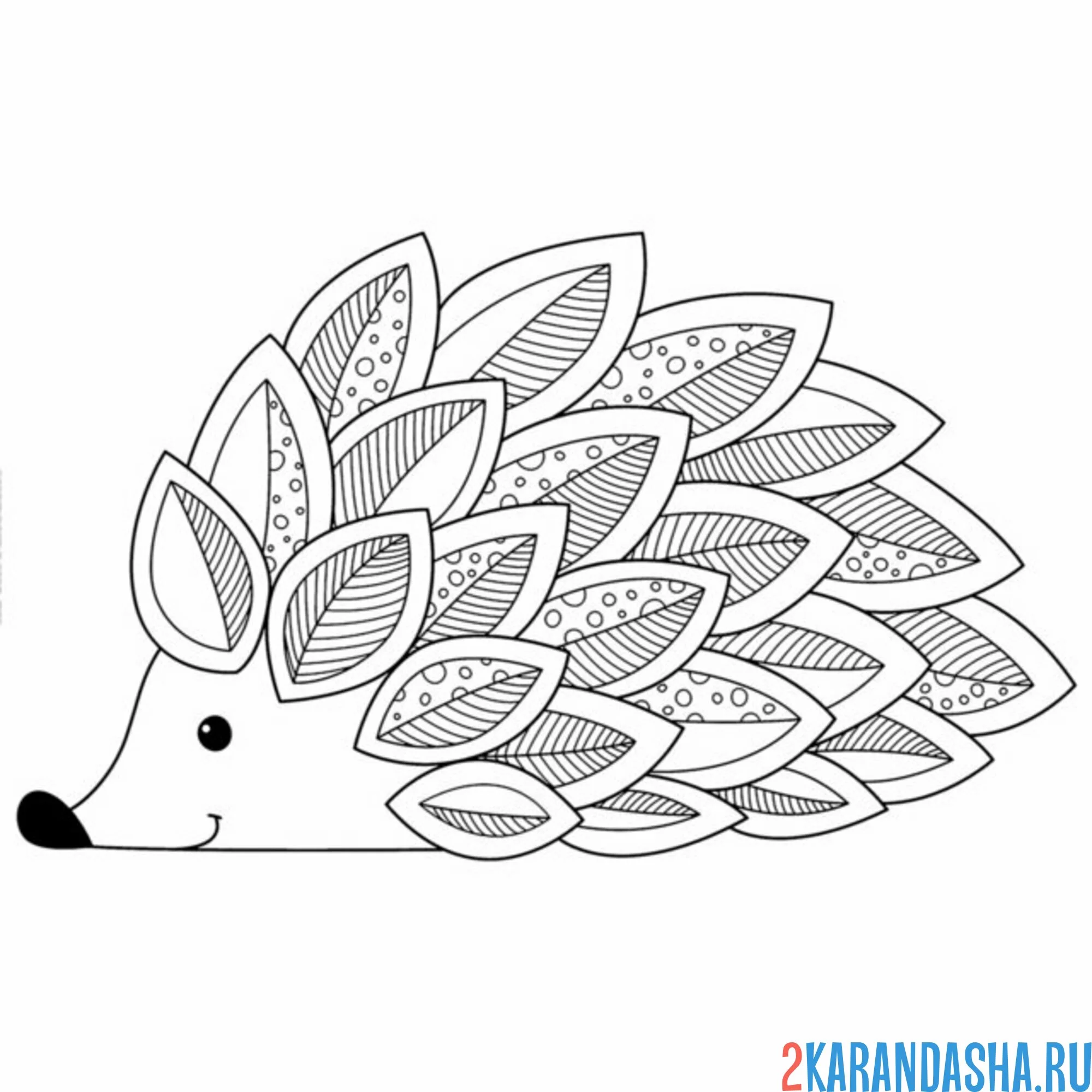 Раскраска ужик узоры на колючках