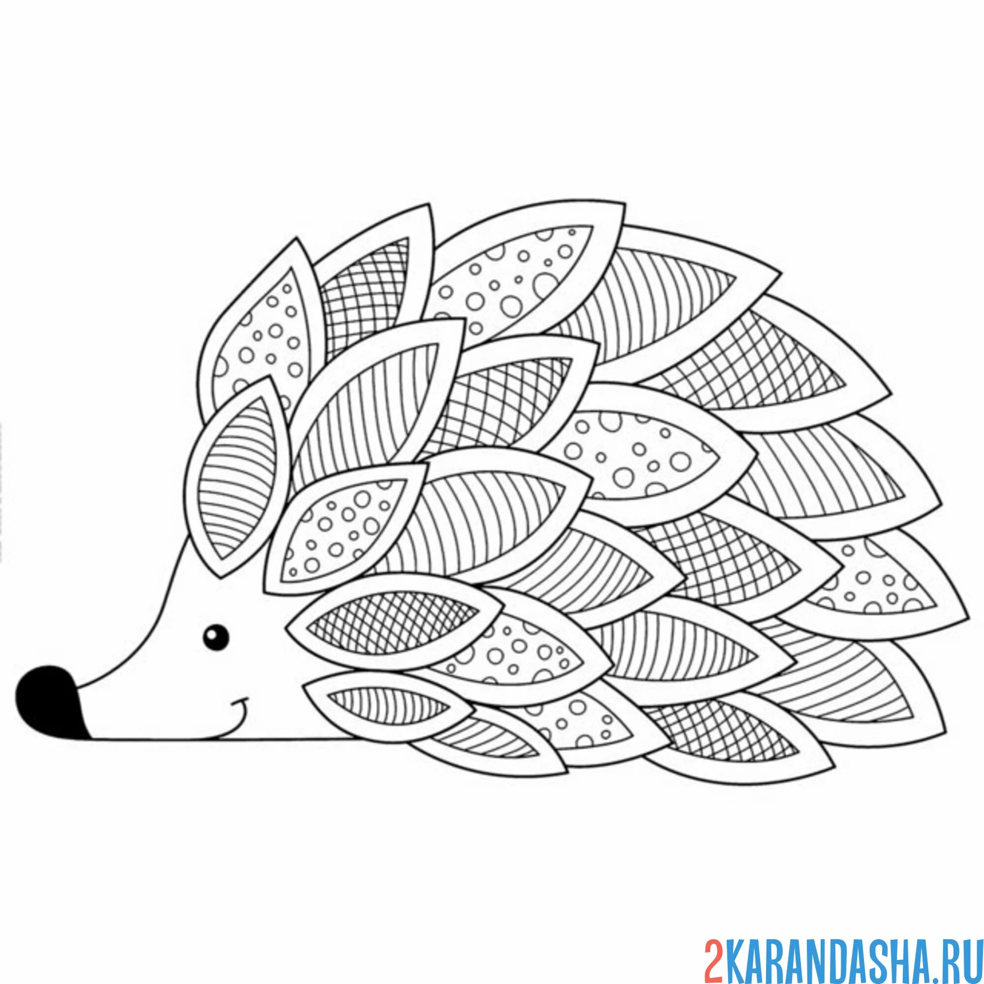 Раскраска ежик с узорами на колючках