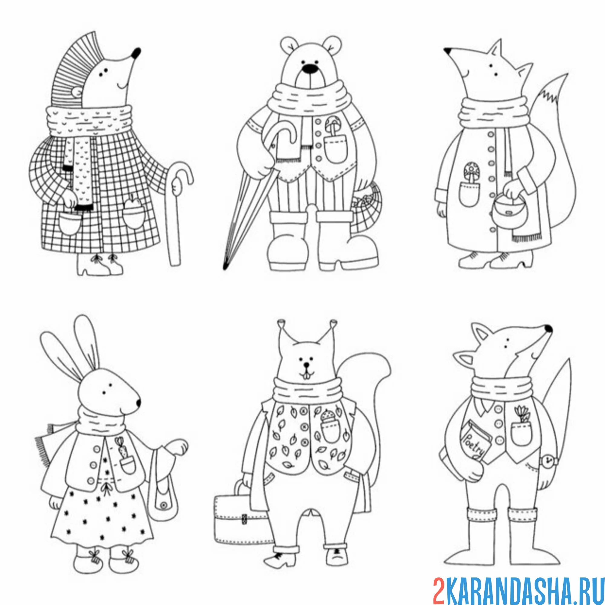 Раскраска звери осенью