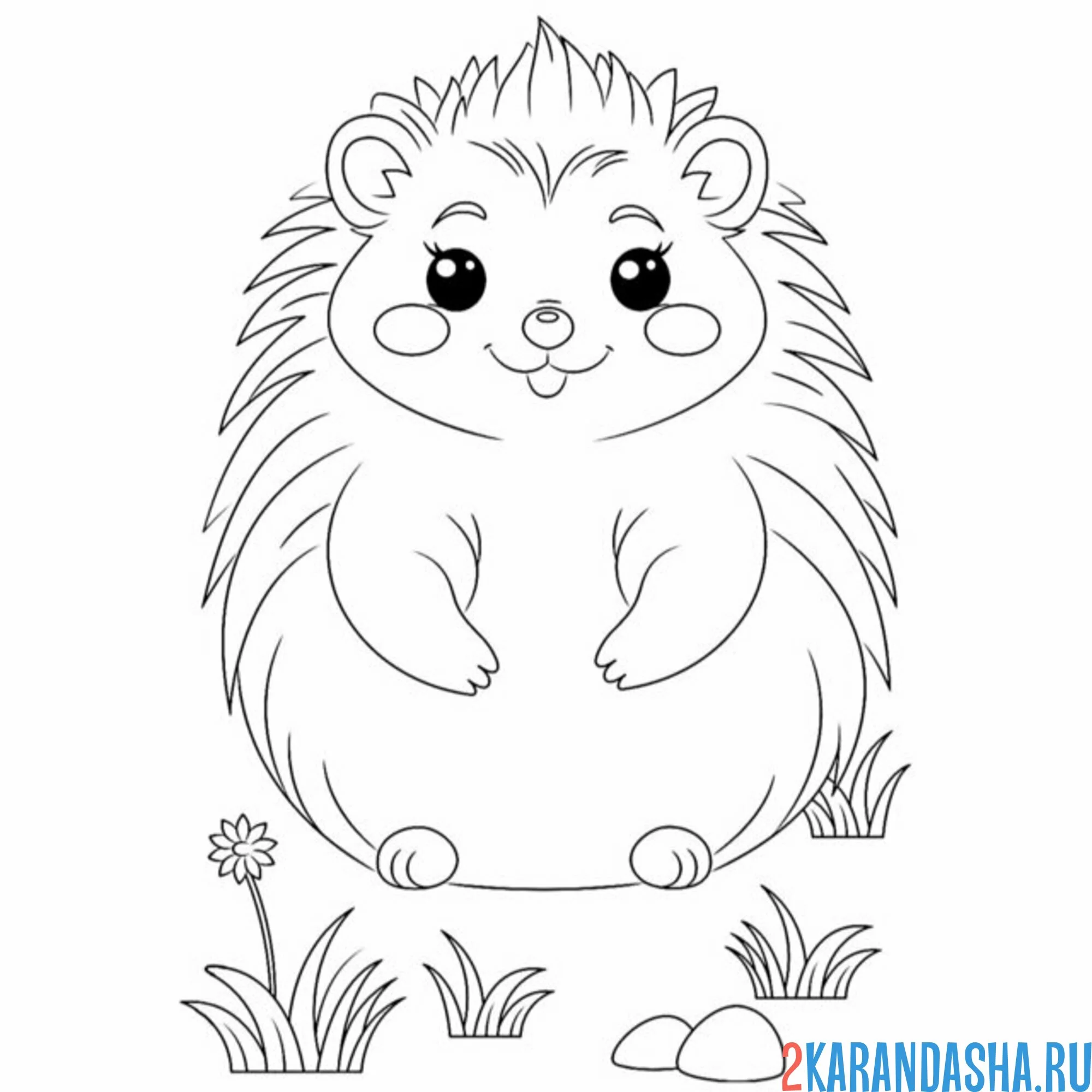 Раскраска милый ежик и цветочки