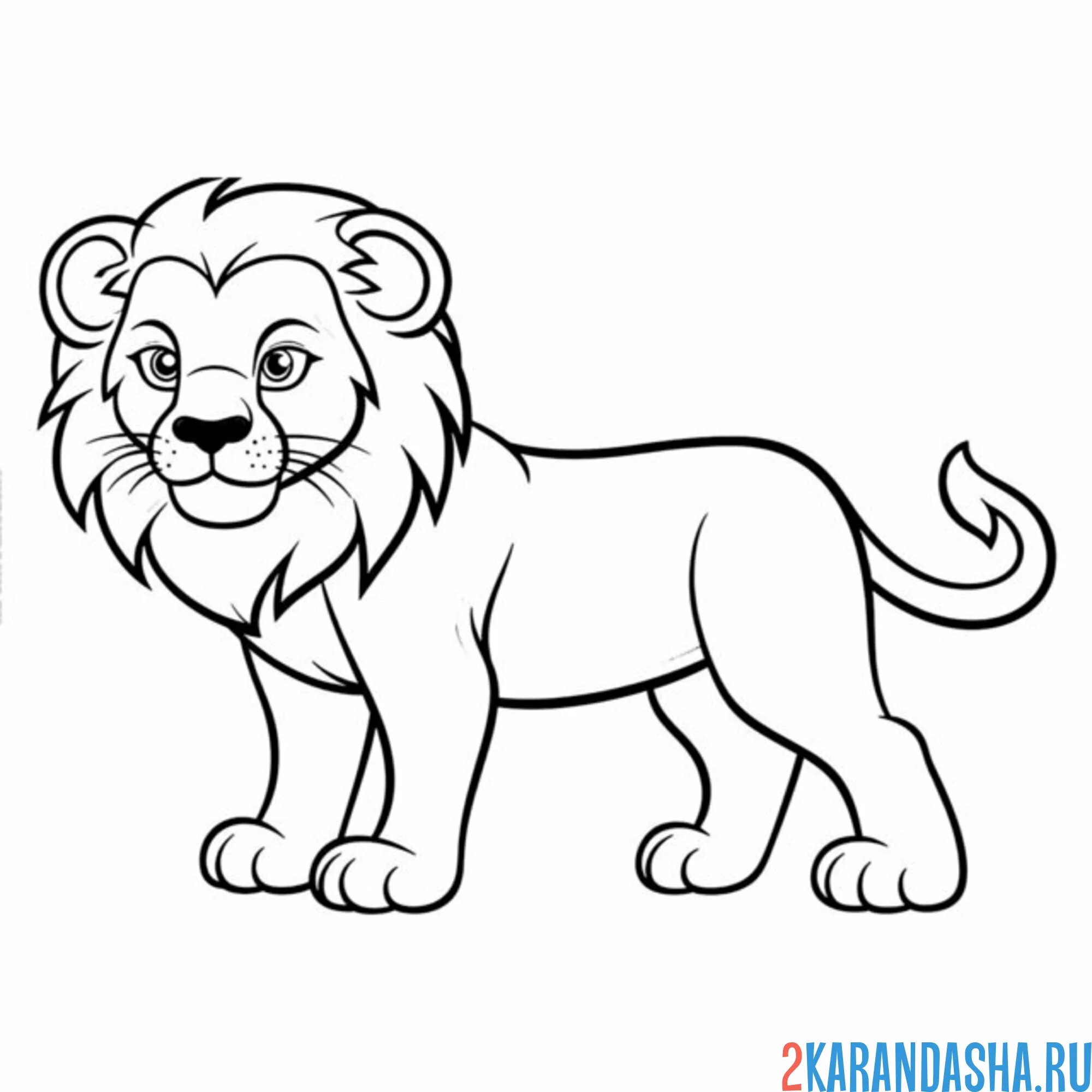 Раскраска здоровый лев