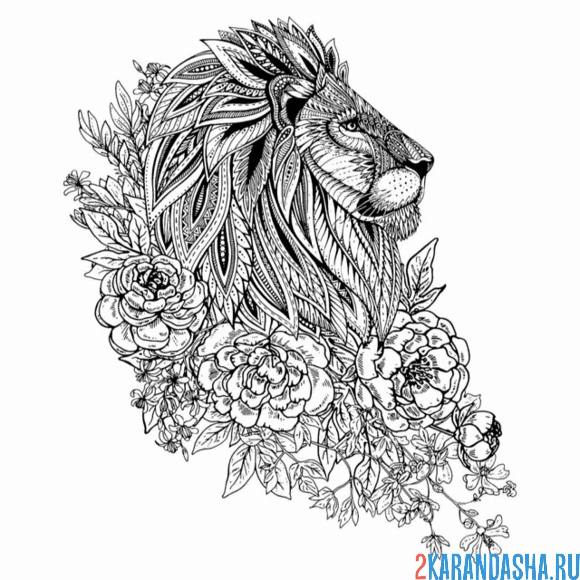 Раскраска лев сбоку антистресс