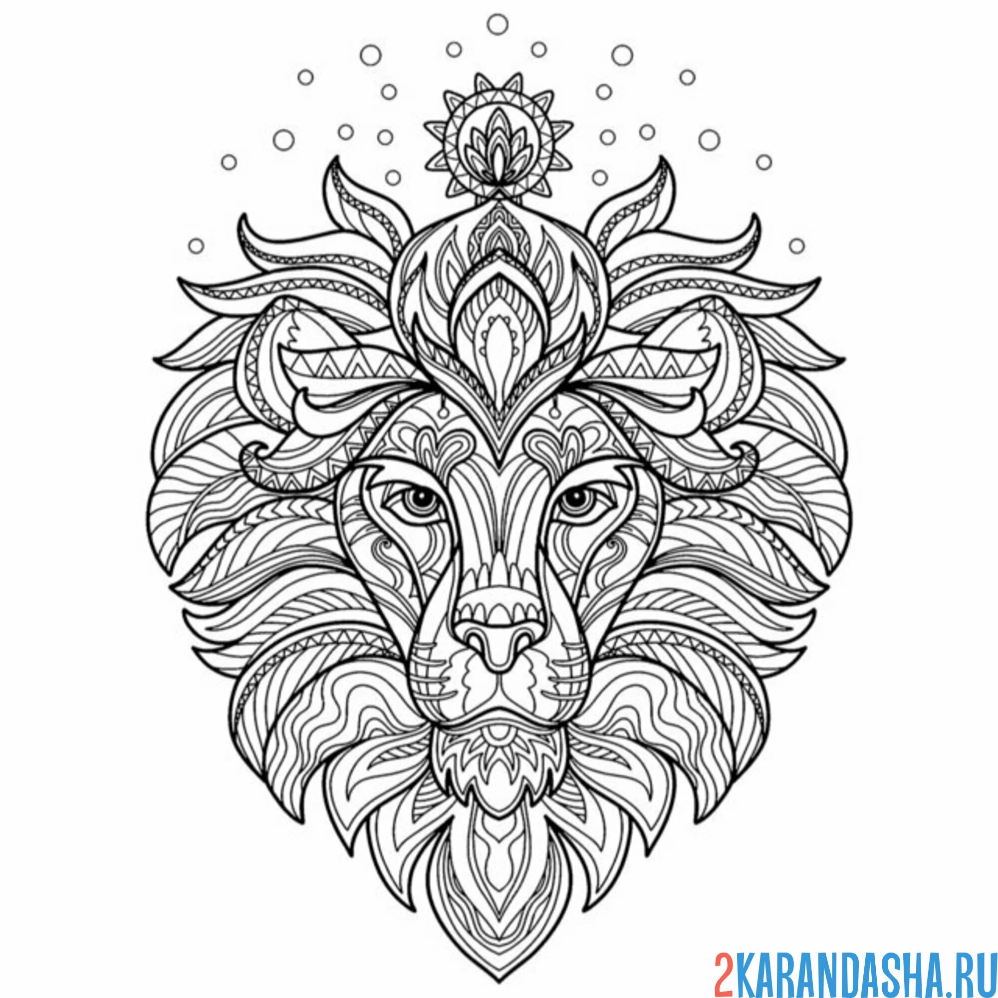 Раскраска антистресс голова льва