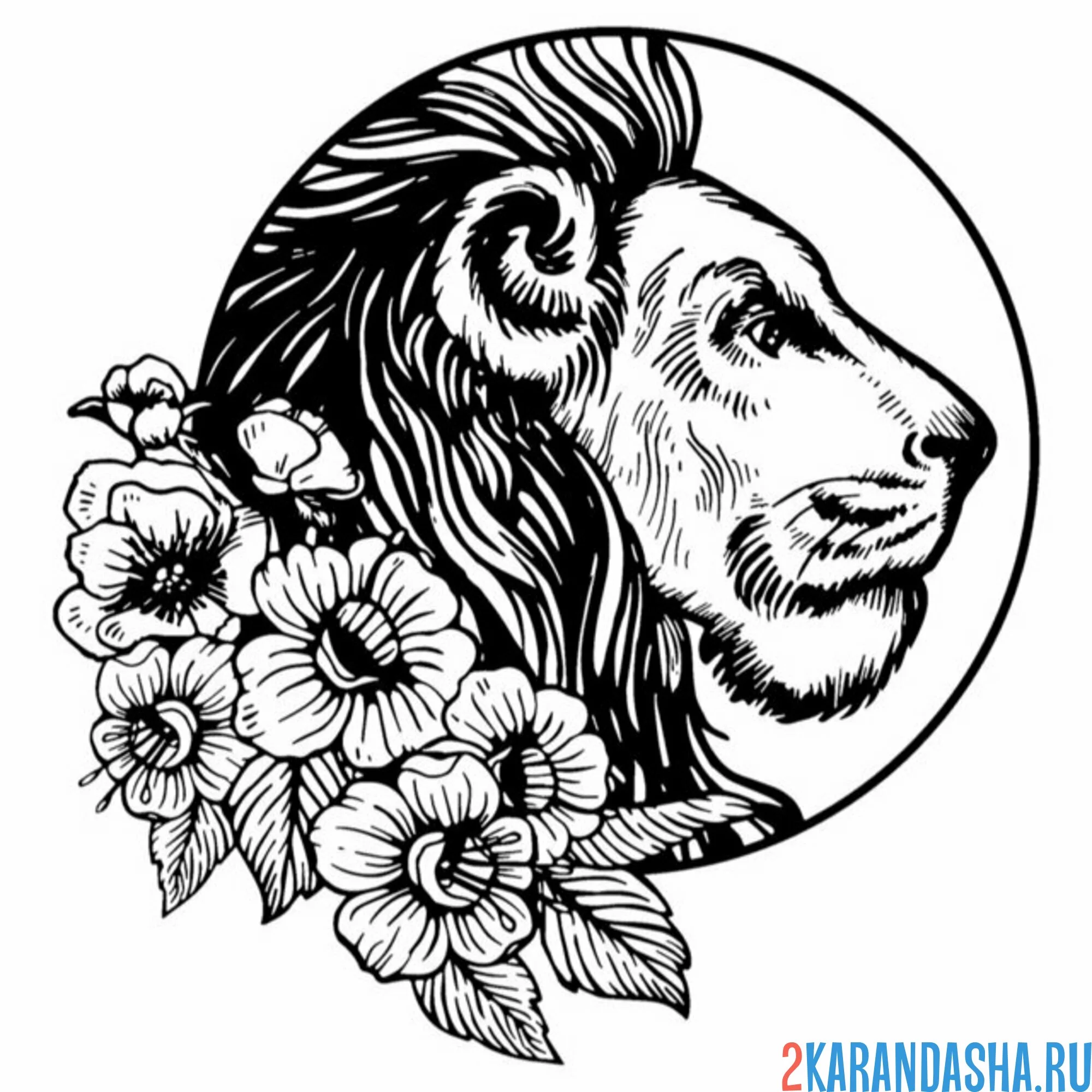 Раскраска лев в круге