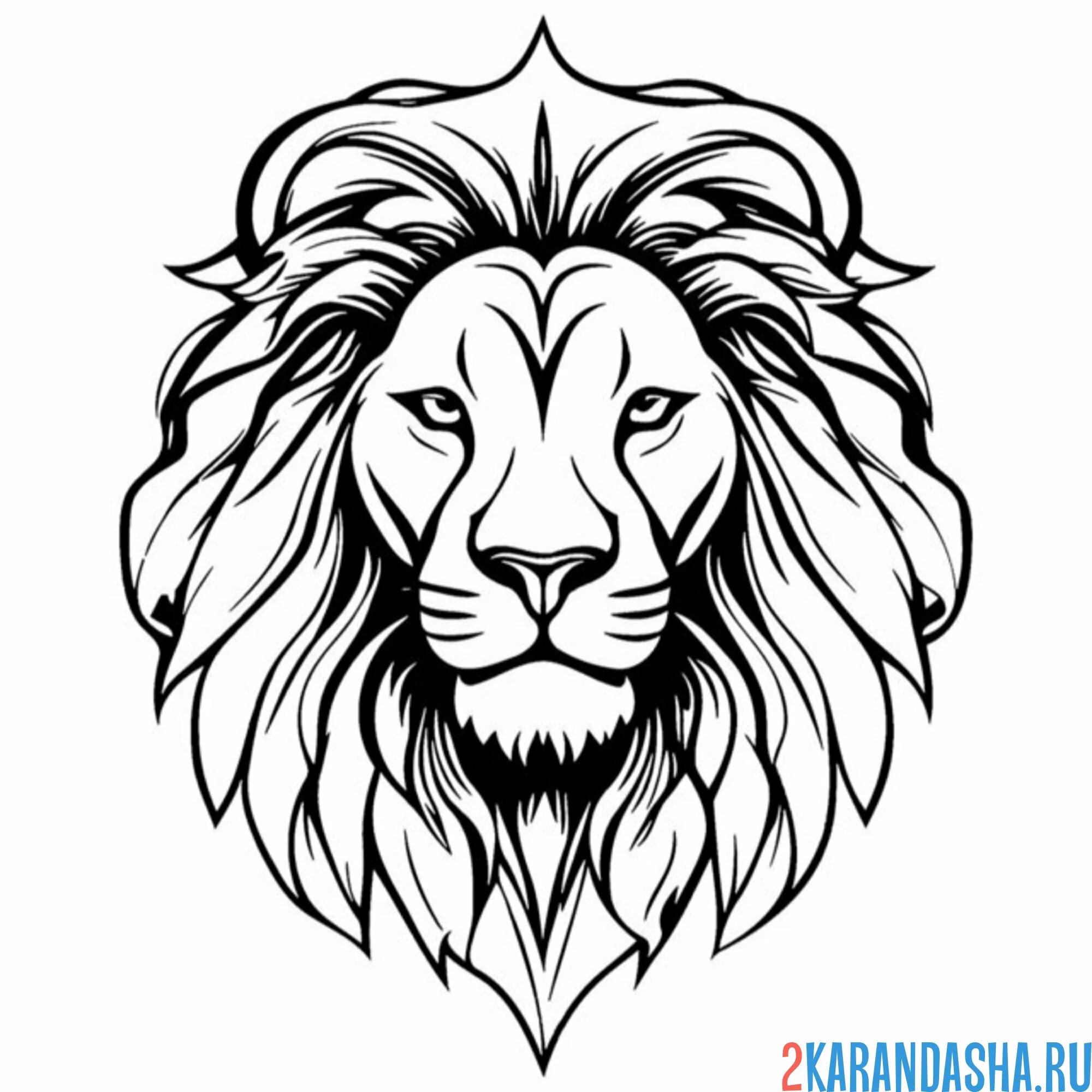 Раскраска лев голова и грива