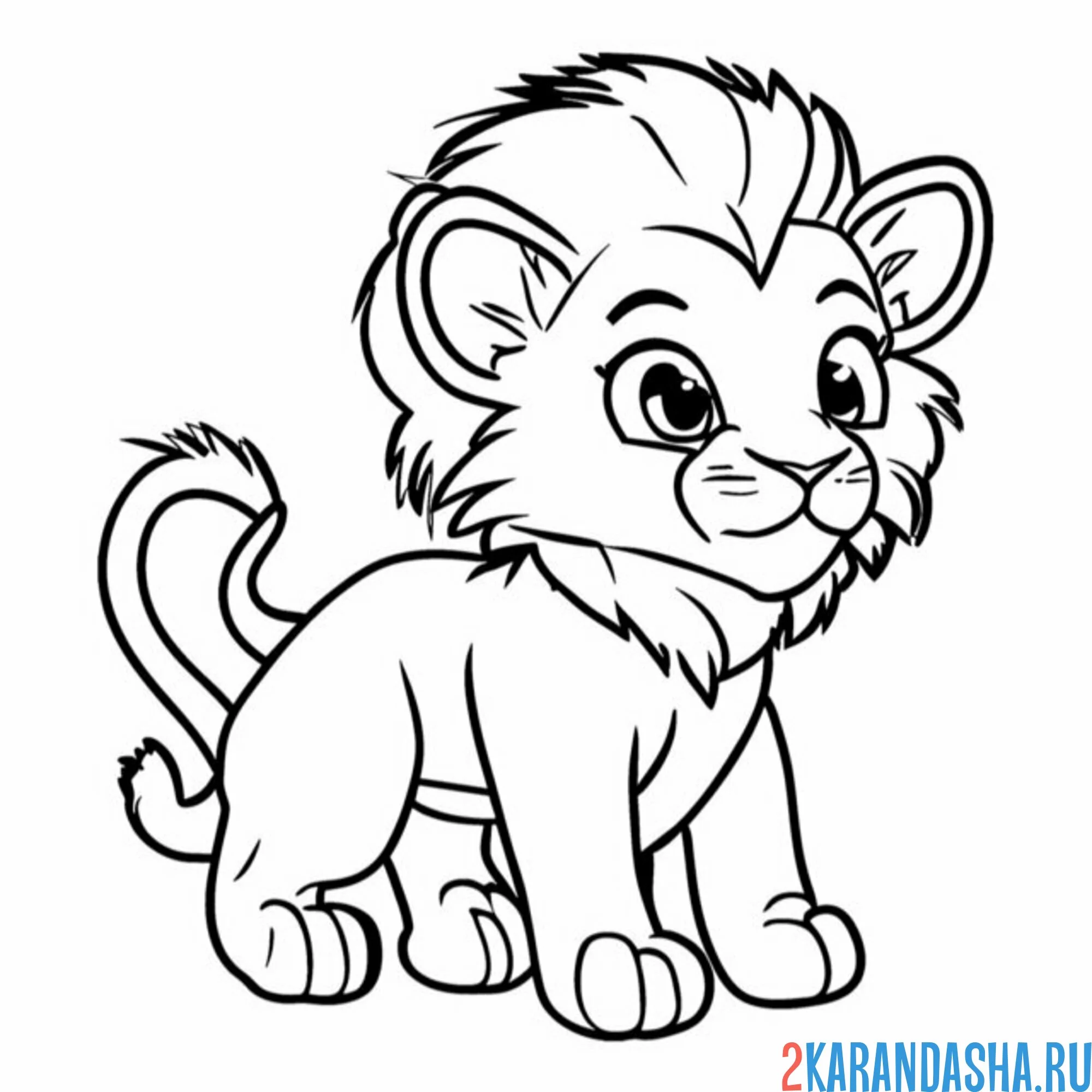 Раскраска львенок с гривой
