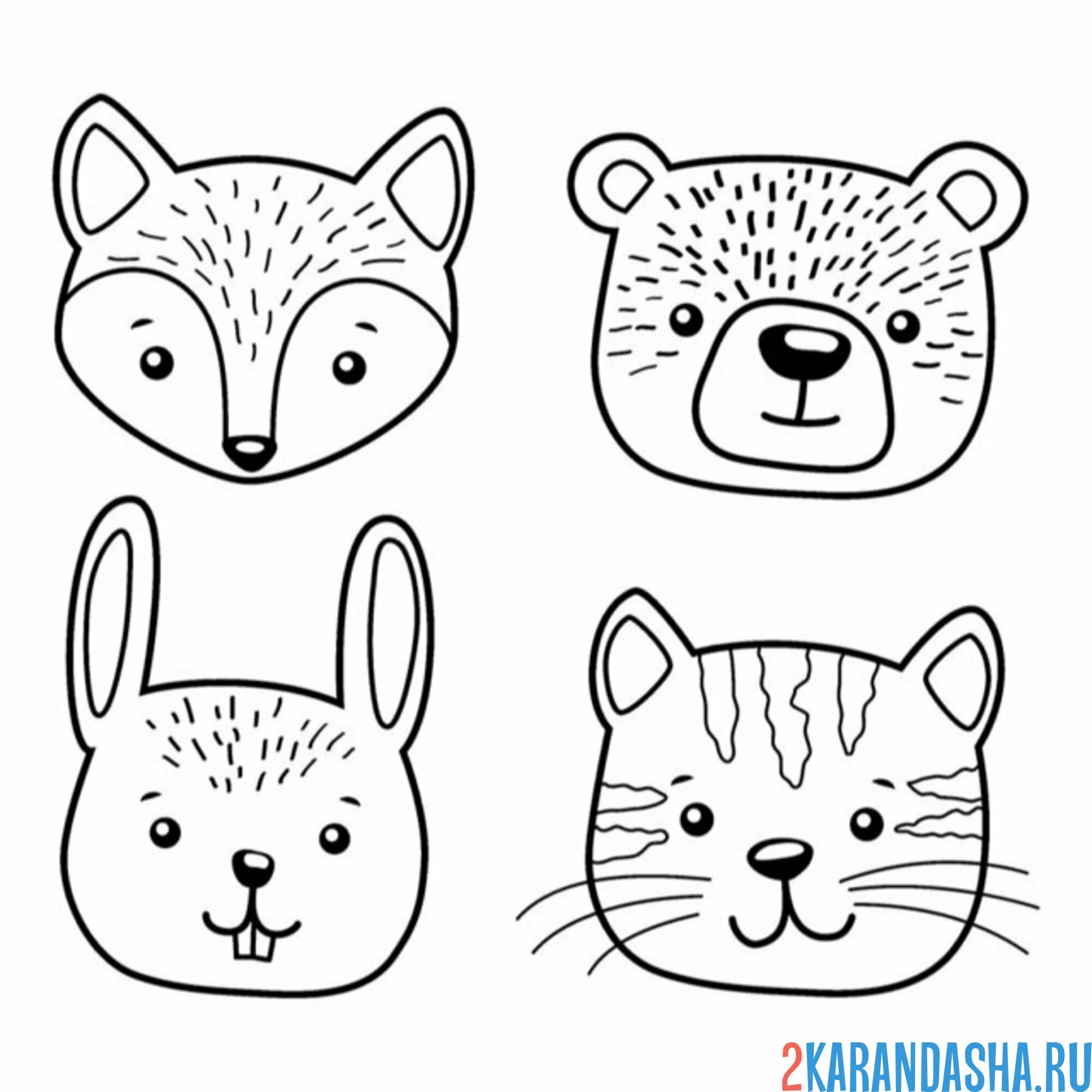 Раскраска зверята лиса, медведь, заяц и кот