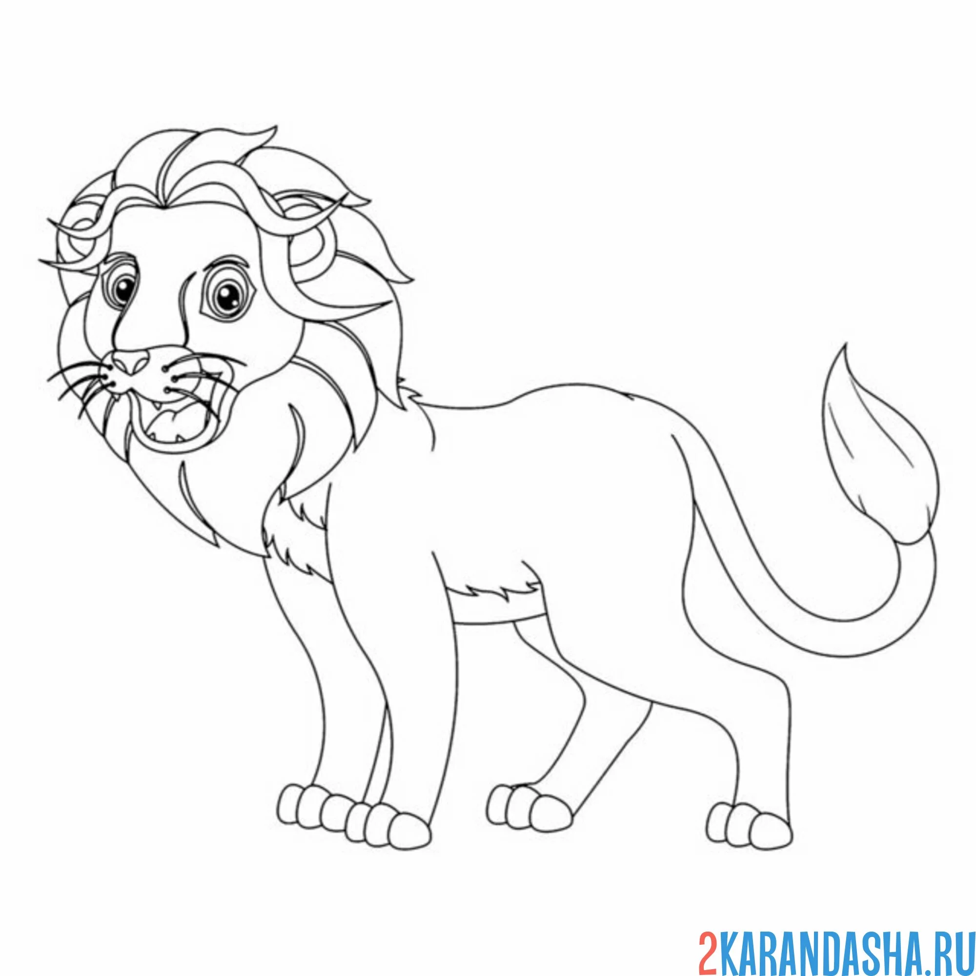 Раскраска молодой лев