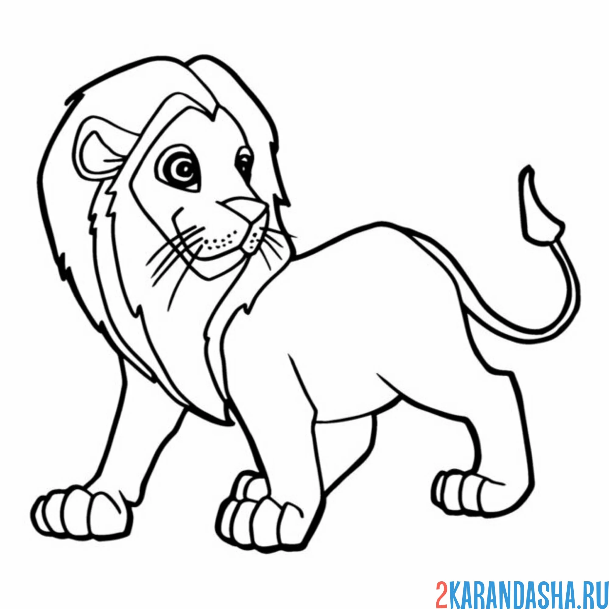 Раскраска лев идет