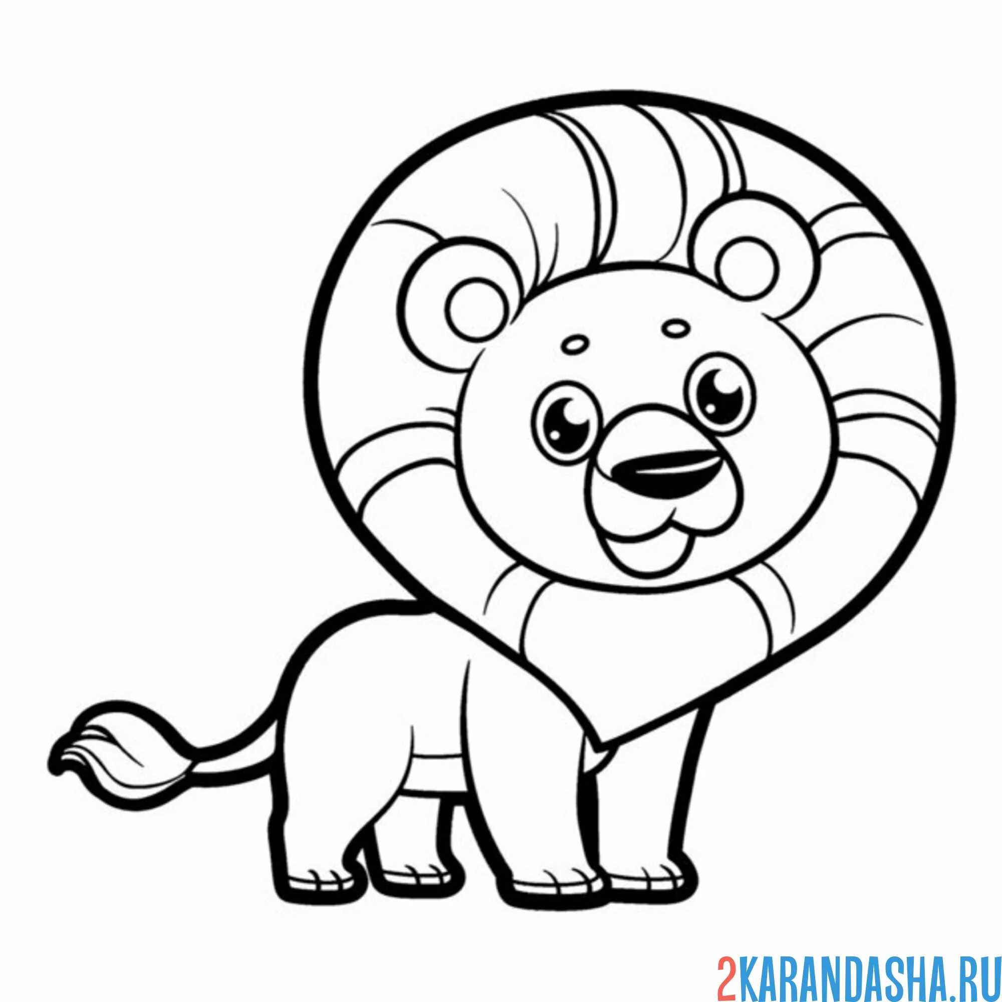 Раскраска лев с большой гривой