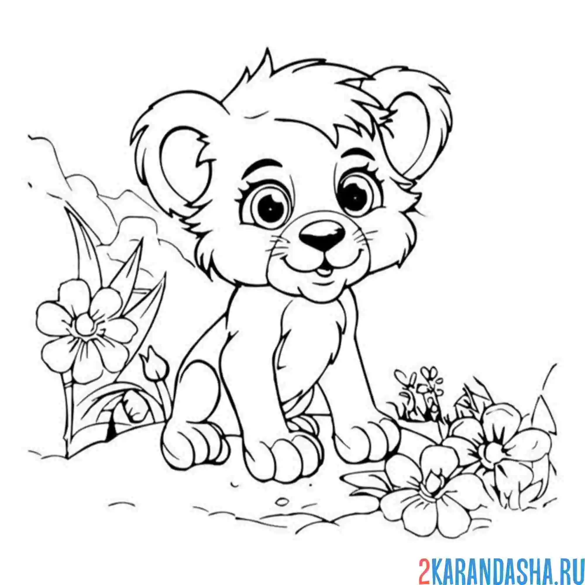 Раскраска львенок один