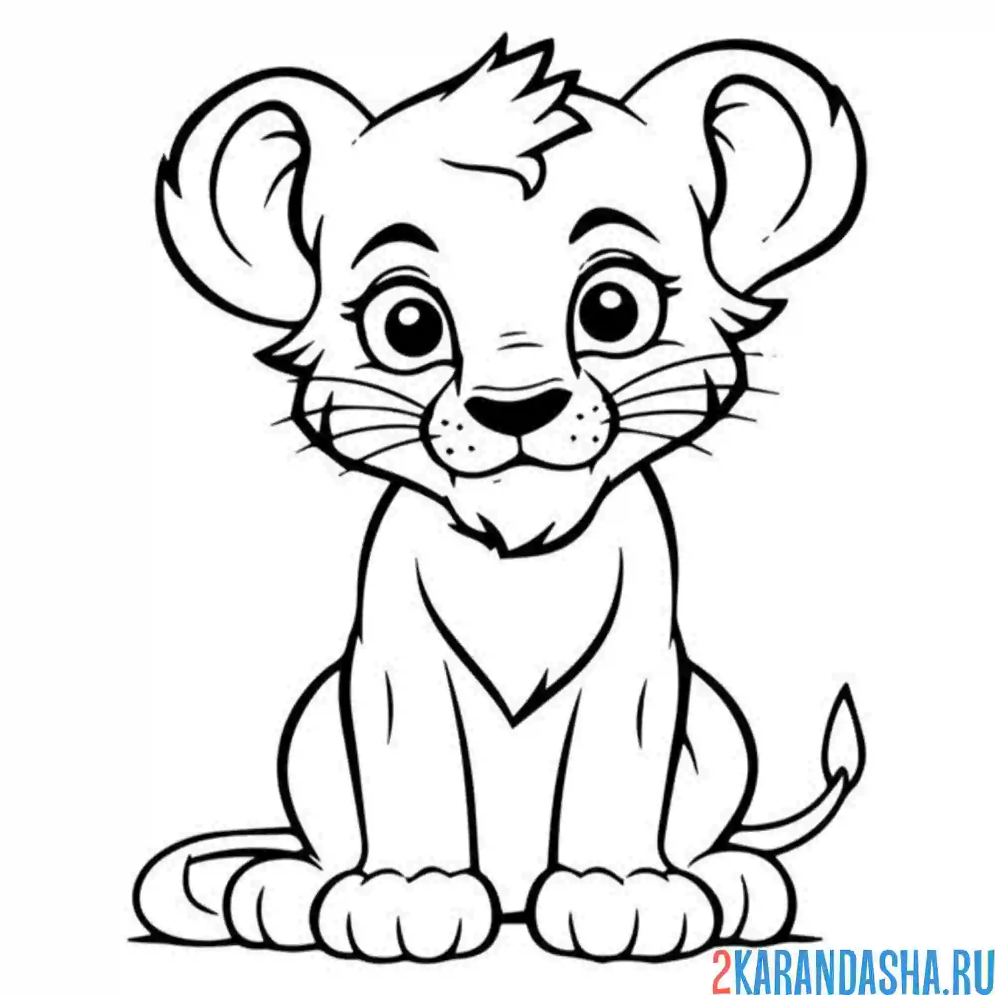 Раскраска львенок красивая мордочка