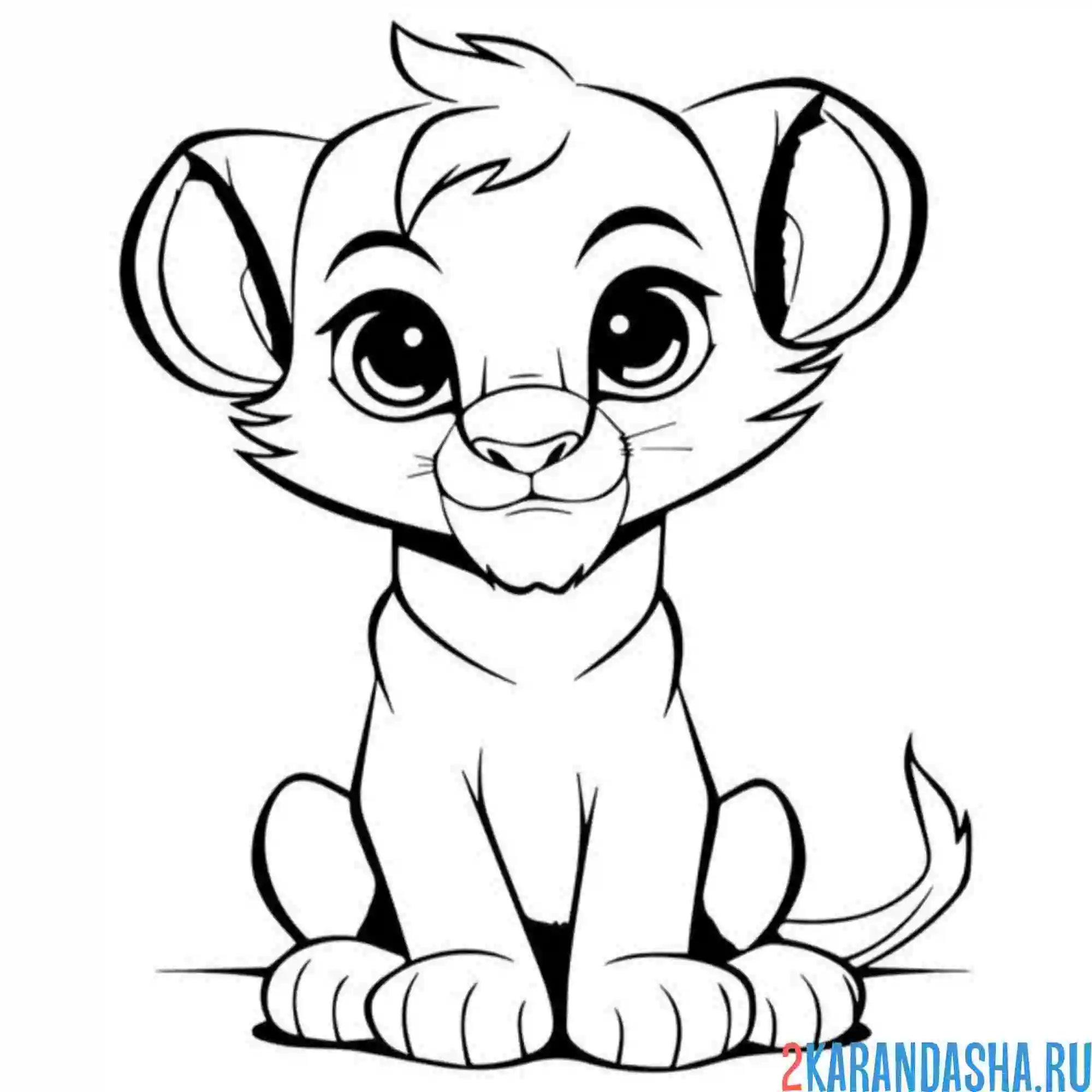 Раскраска львенок подросток