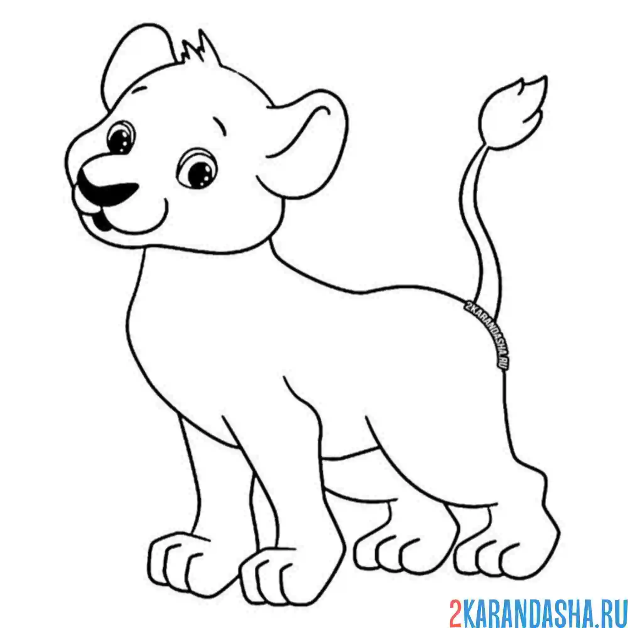 Раскраска львенок самостоятельный