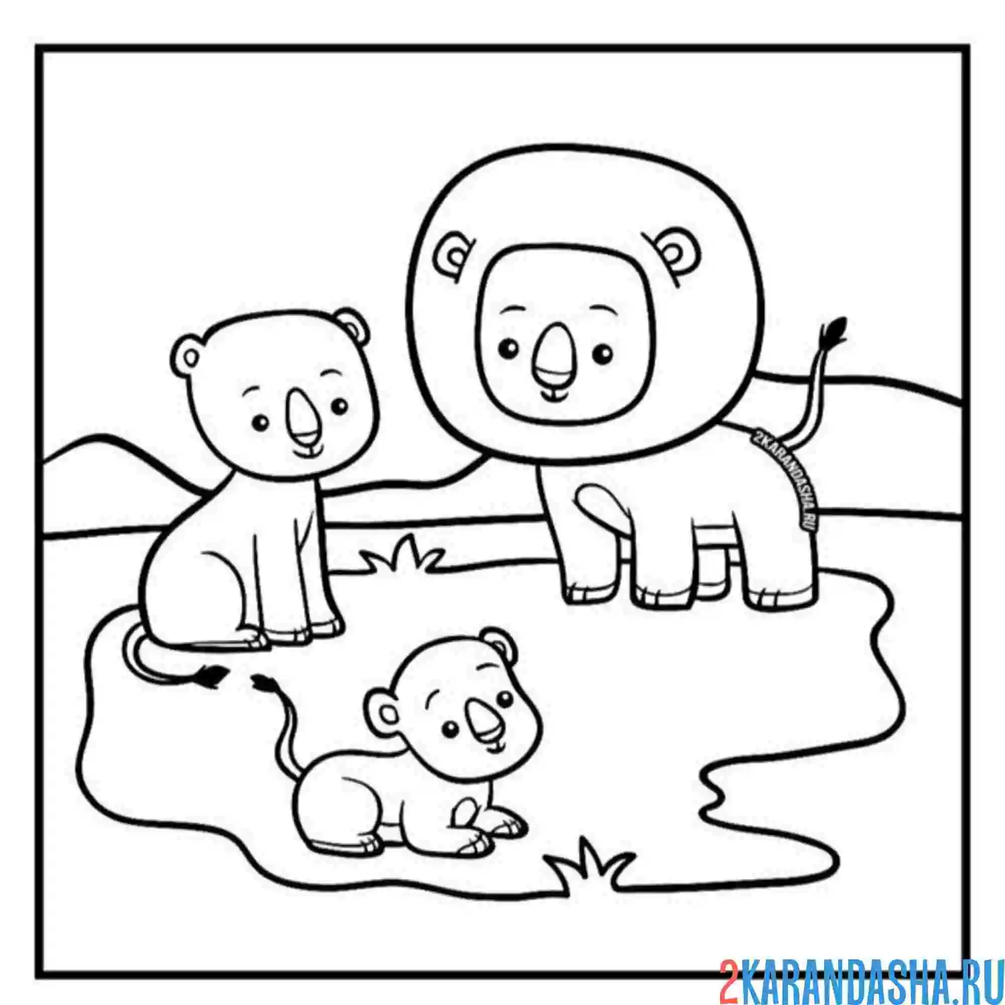 Раскраска семья львов и львенок