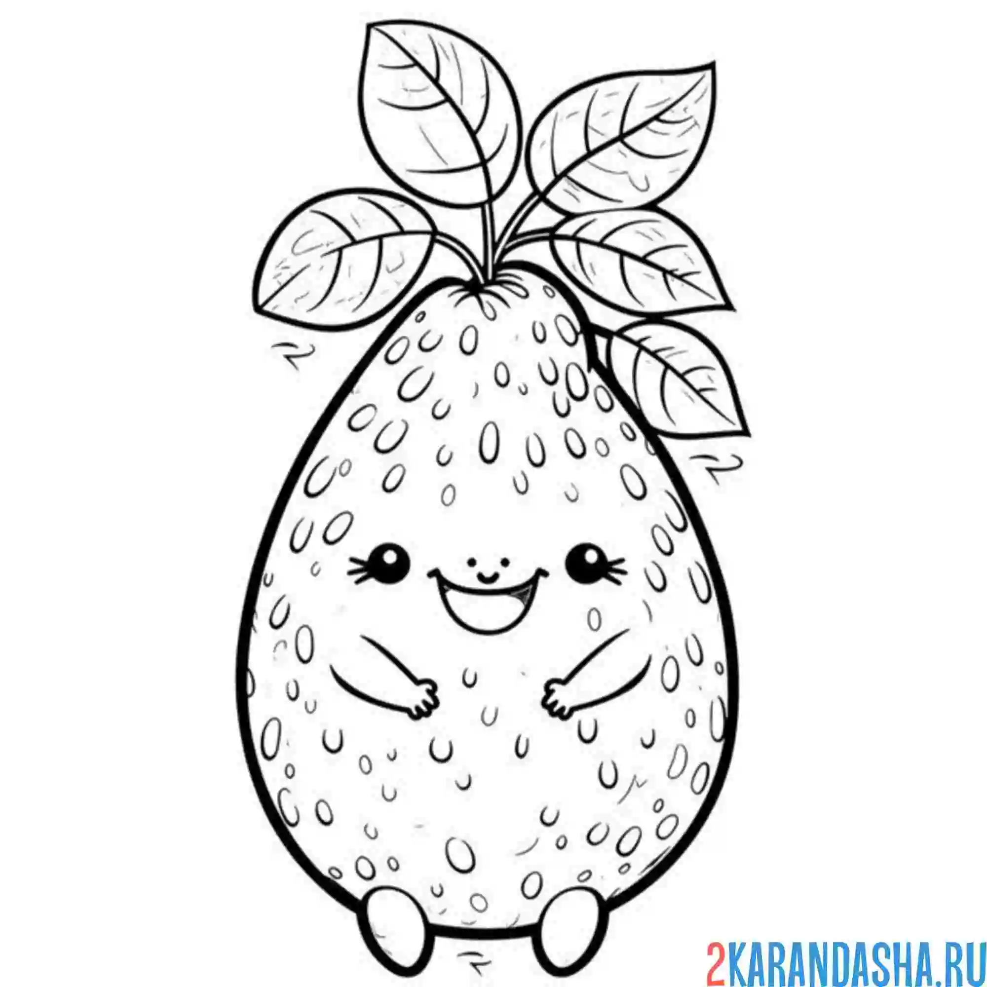 Раскраска авокадо в кожуре