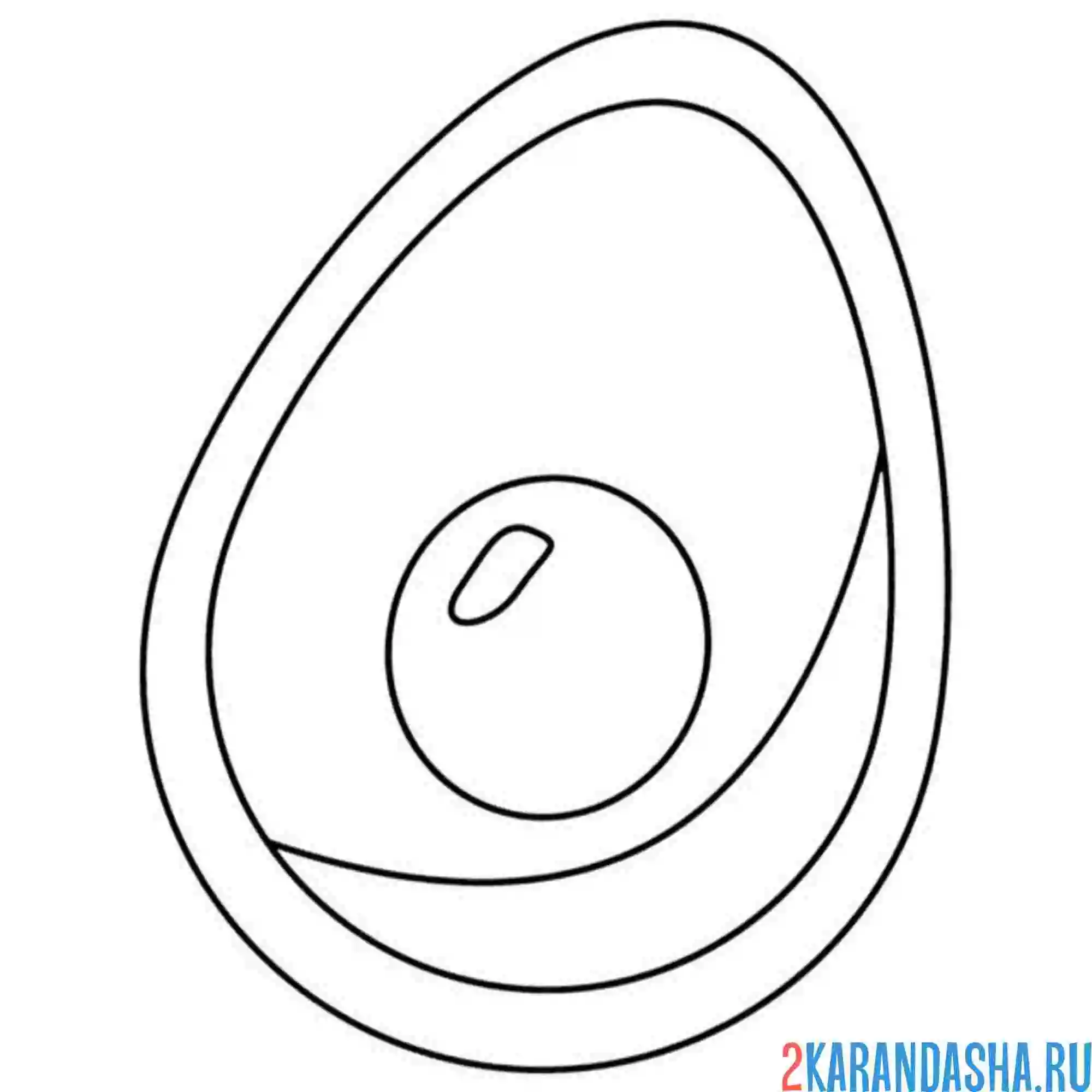 Раскраска авокадо лежит