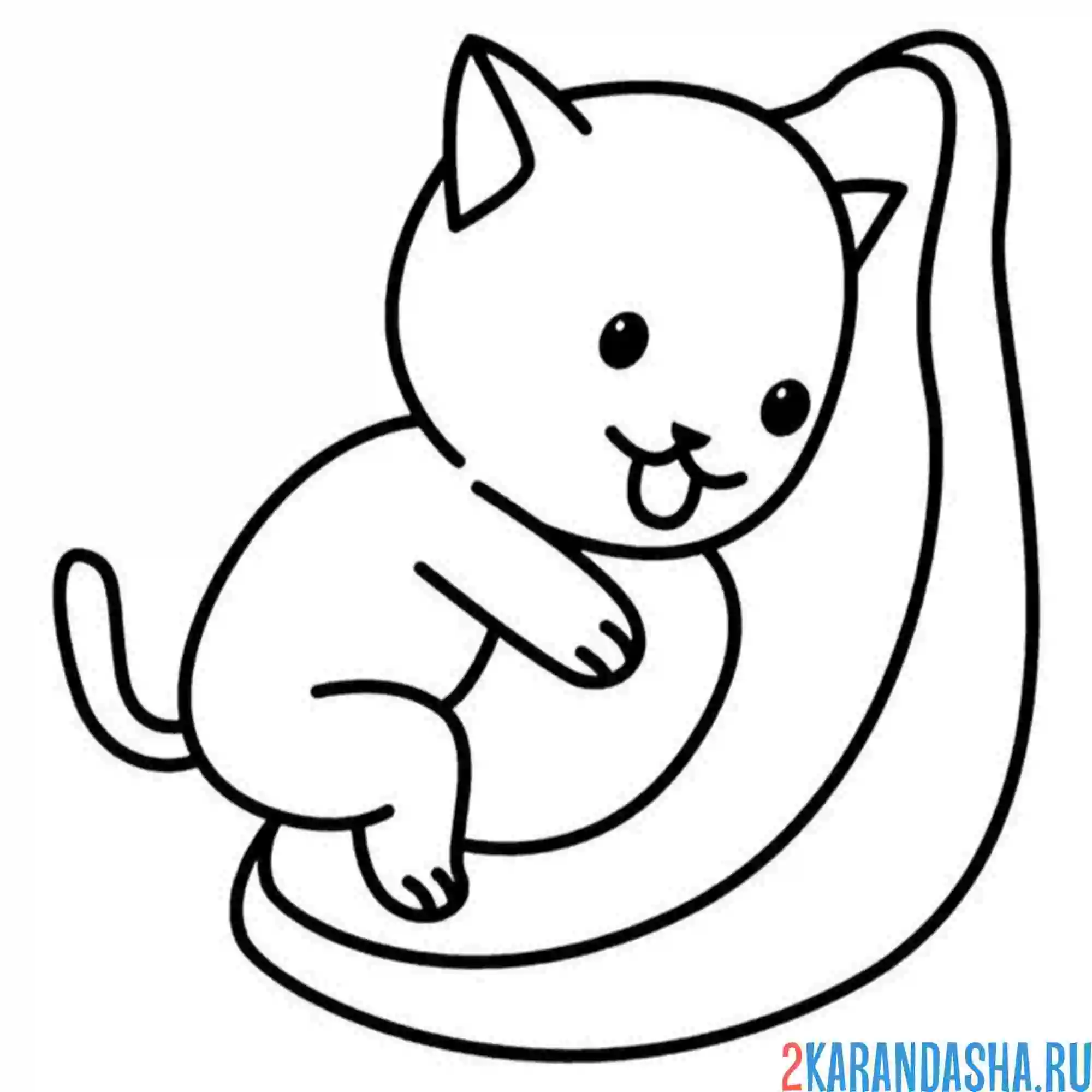 Раскраска котик авокадо