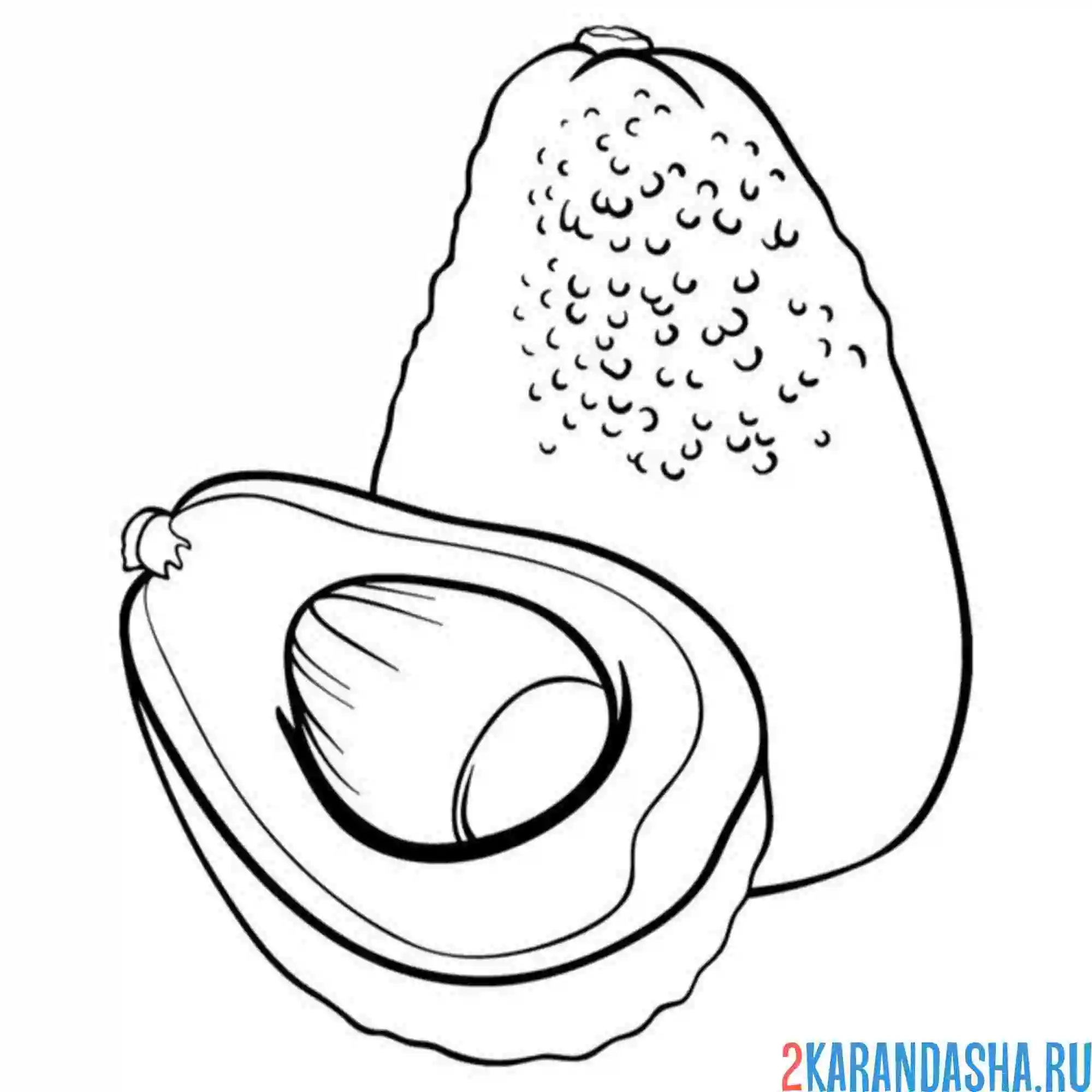Раскраска авокадо настоящее