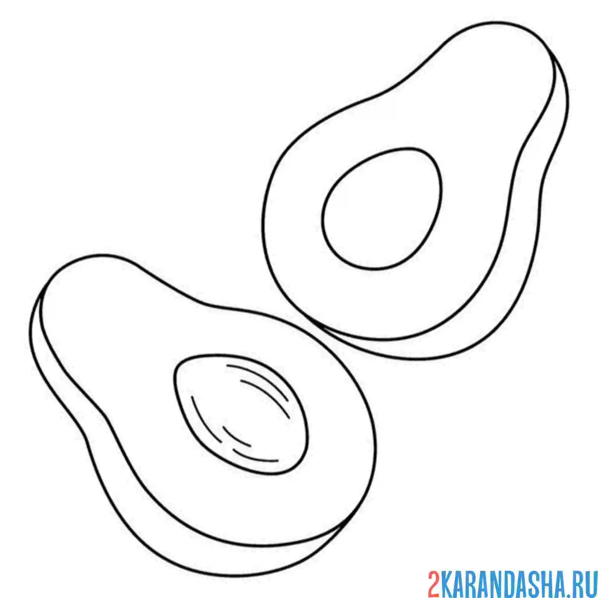 Раскраска две половинки авокадо