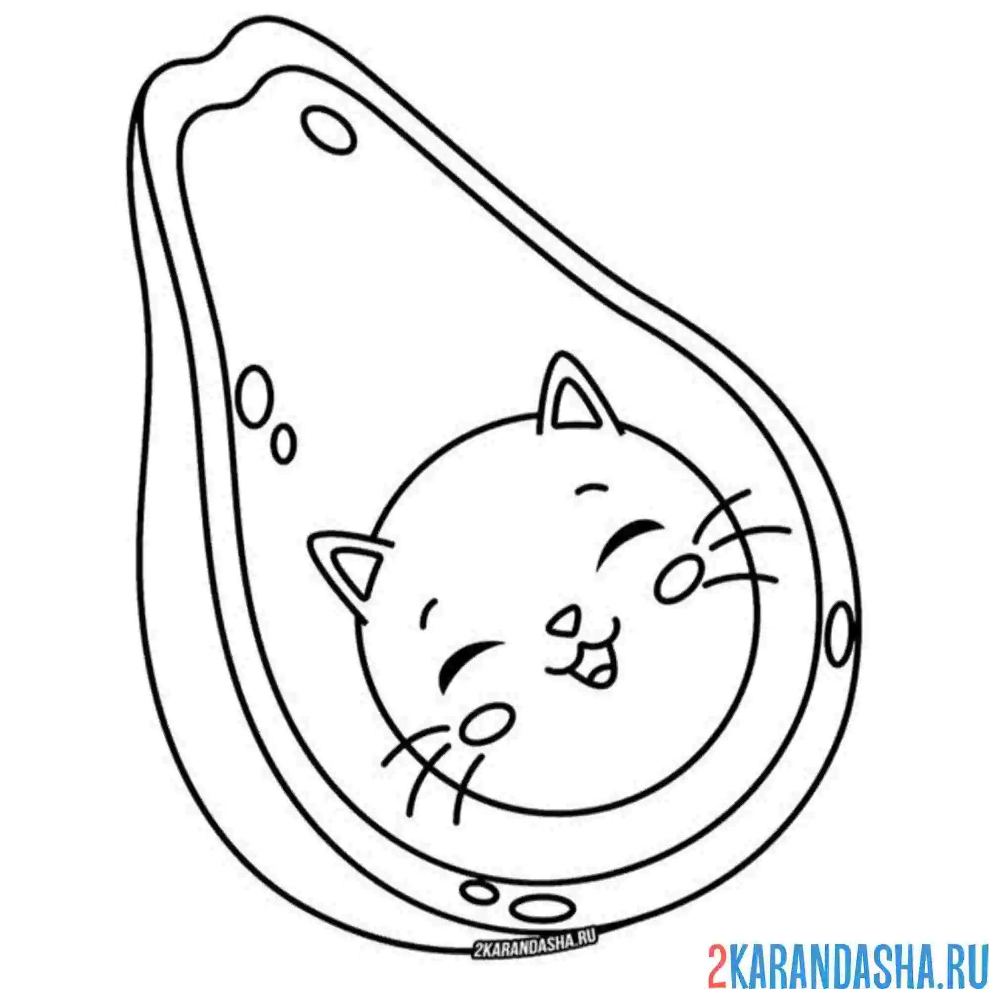 Раскраска авокадо-кот