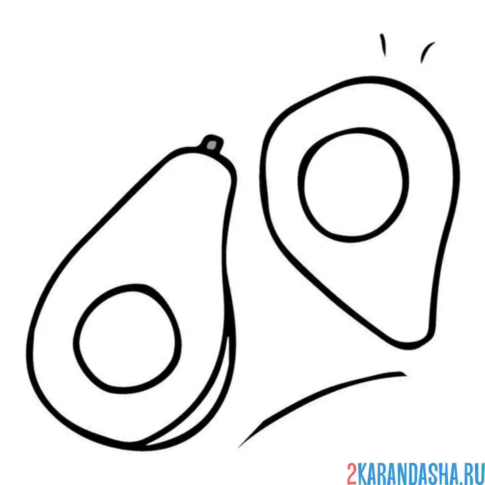 Раскраска авокадо с косточками