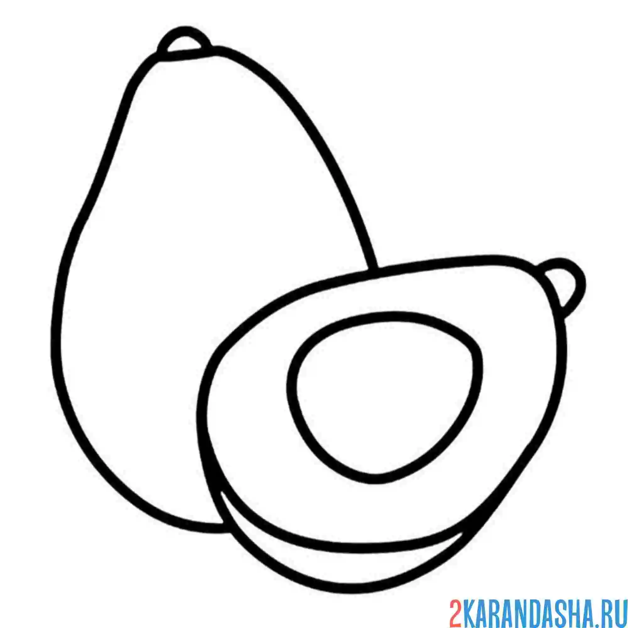 Раскраска авокадо целый и половинка