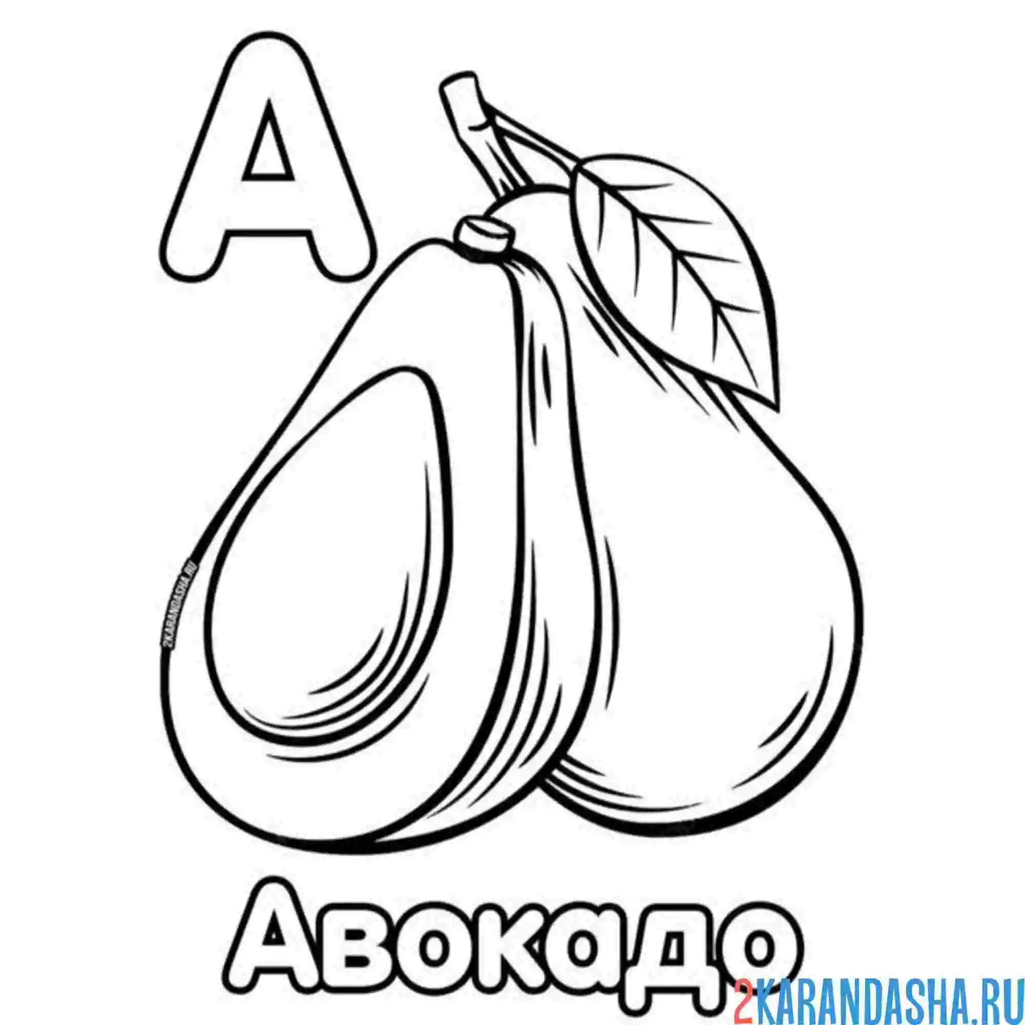 Раскраска буква а авокадо