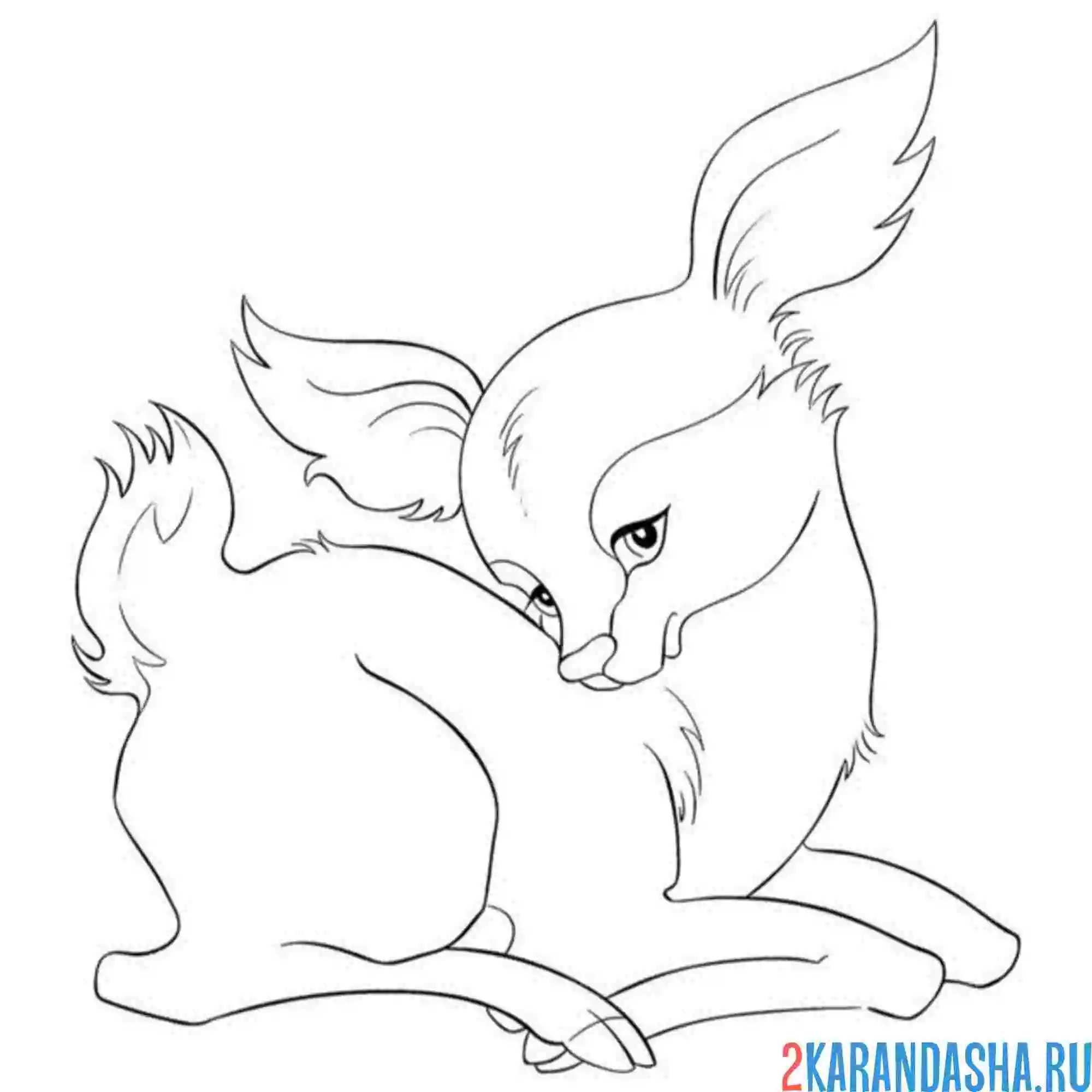 Раскраска олень лежит