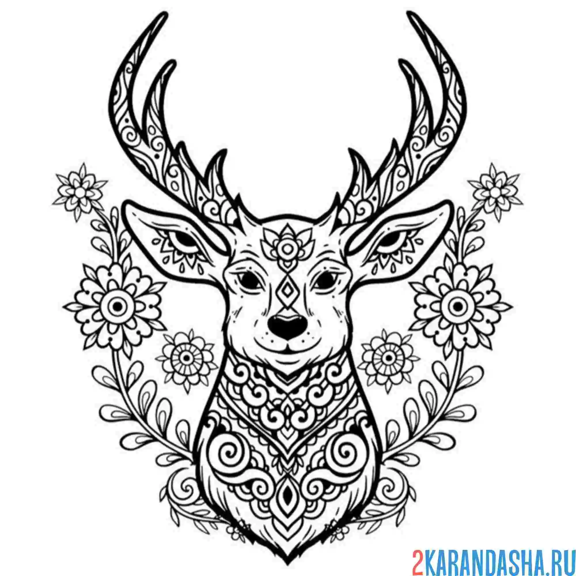 Раскраска олень цветы антистресс