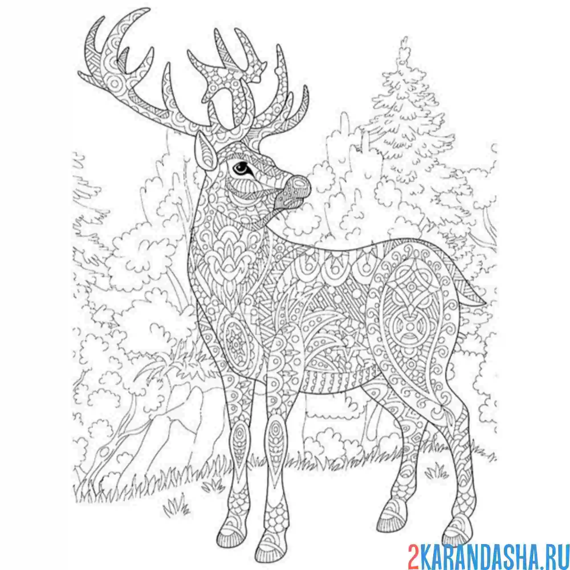 Раскраска антистресс олень в лесу