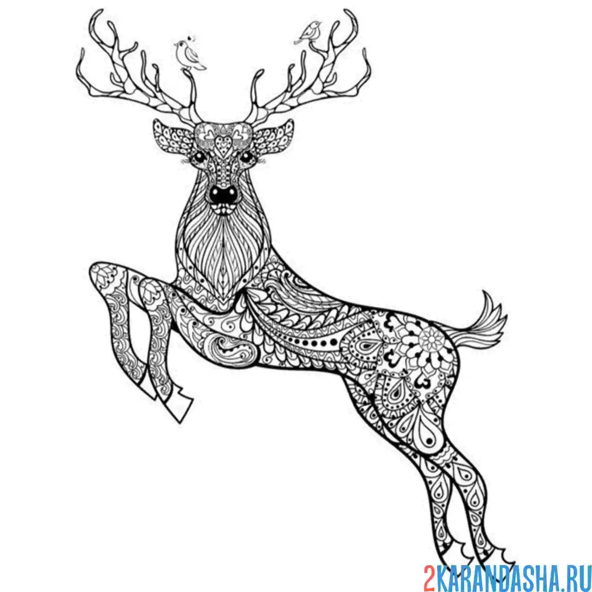 Раскраска прыжок оленя антистресс
