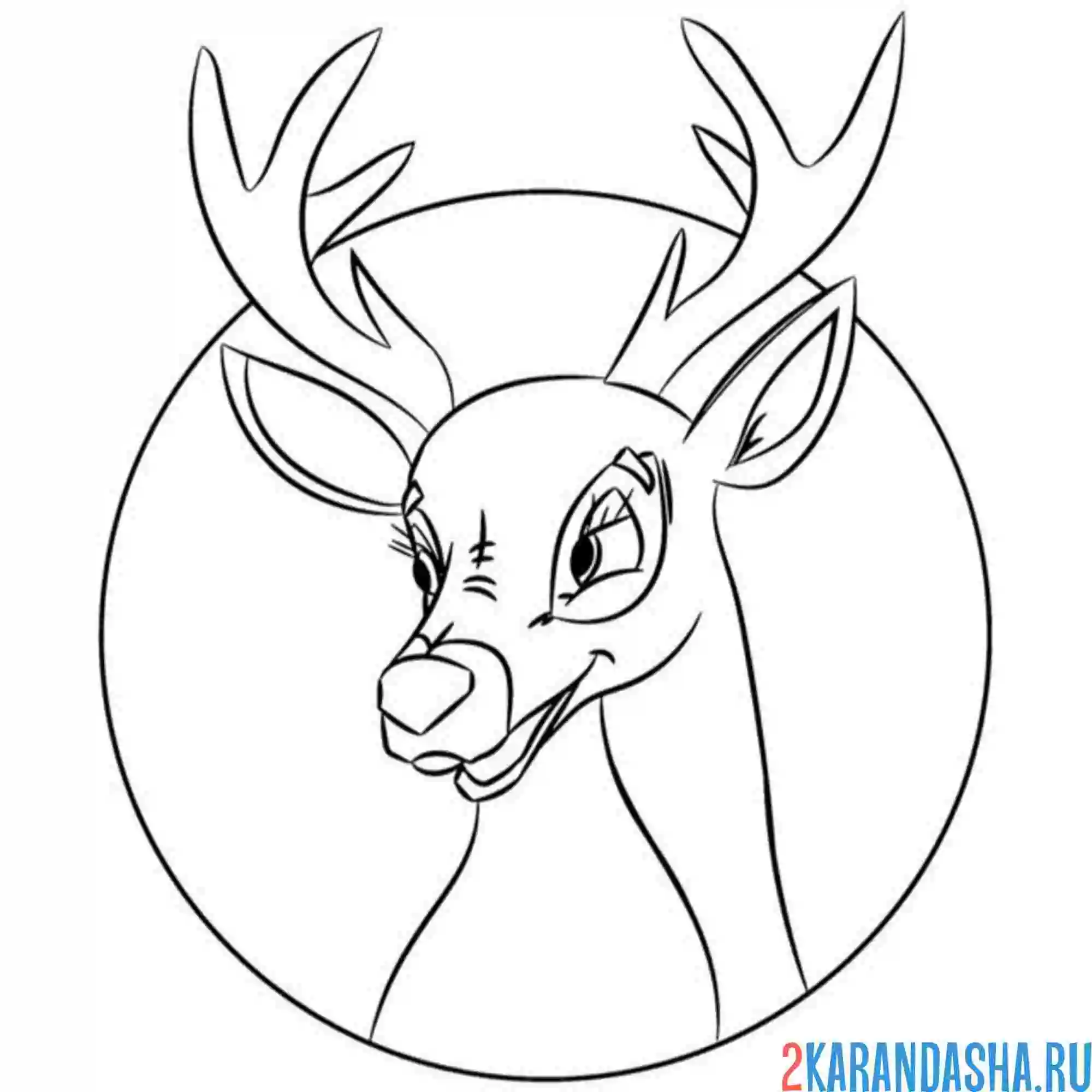 Раскраска олень в круге