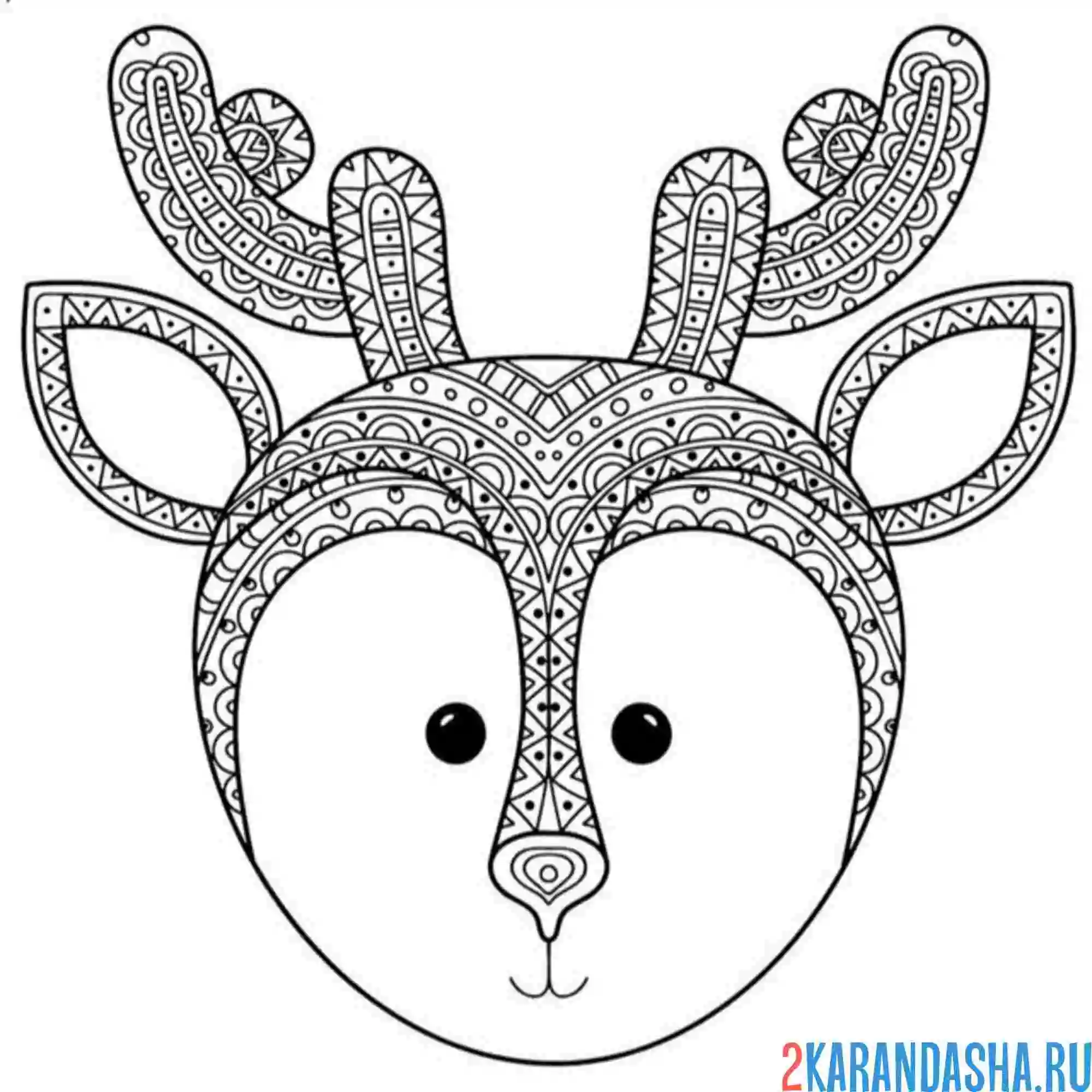 Раскраска голова оленя антистресс