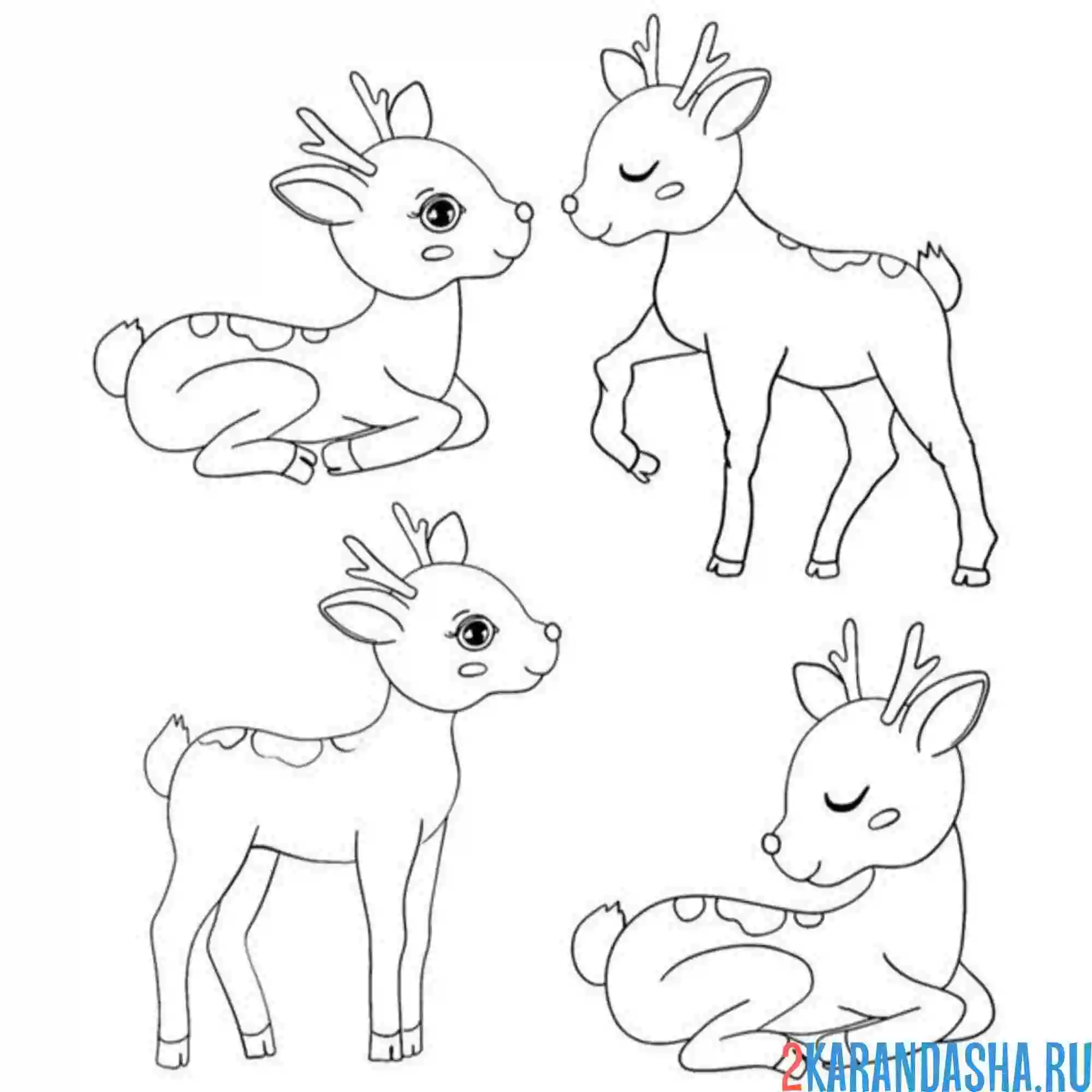 Раскраска четыре оленя