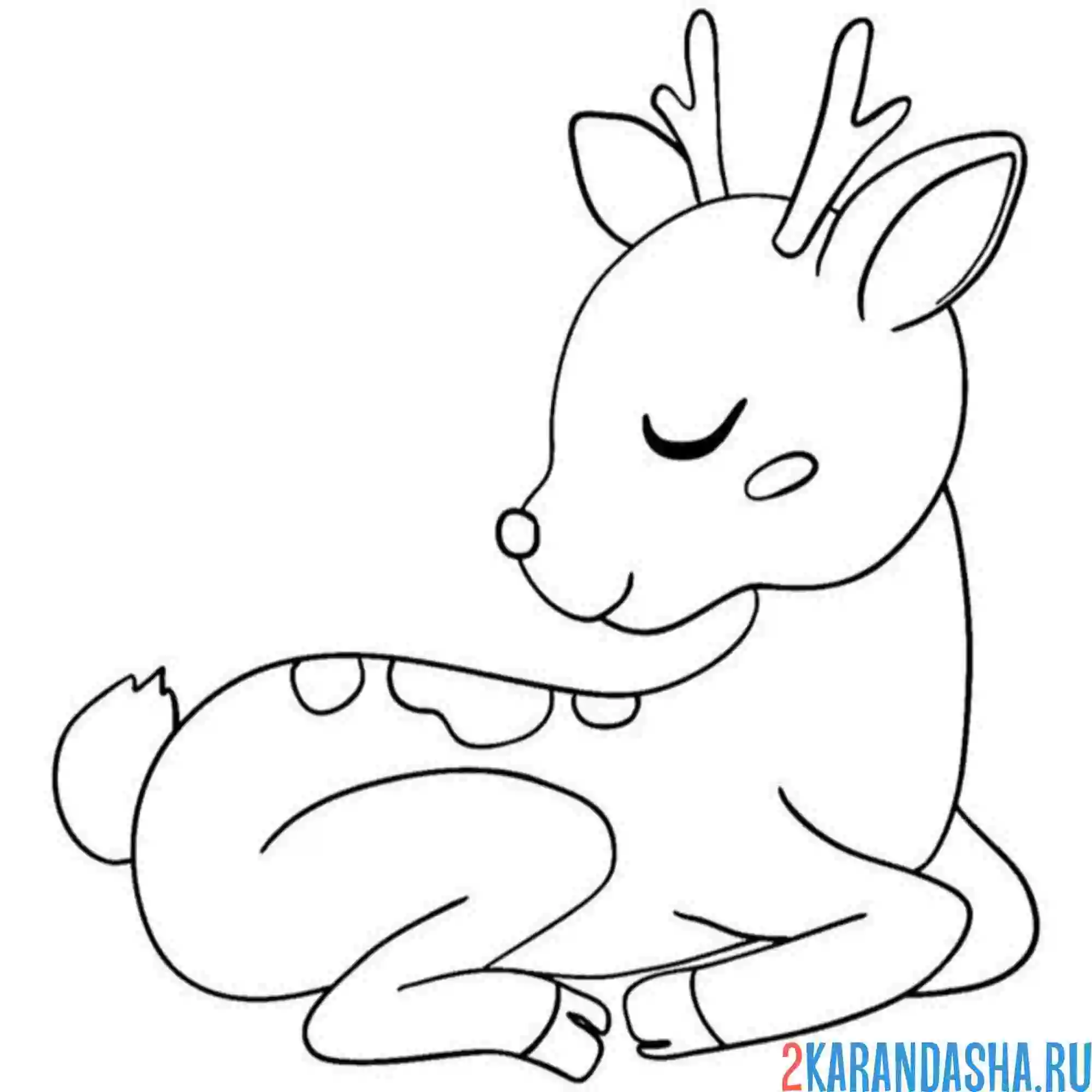 Раскраска олененок с маленькими рожками